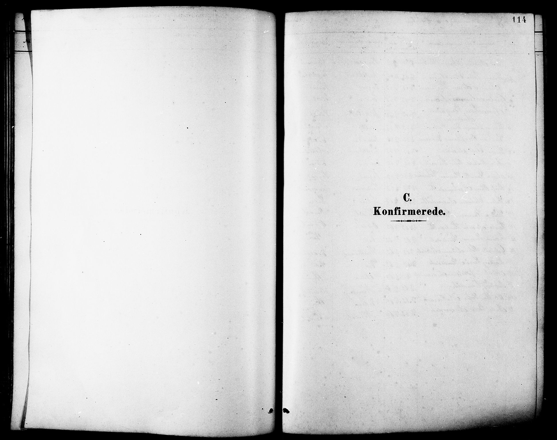 Ministerialprotokoller, klokkerbøker og fødselsregistre - Møre og Romsdal, SAT/A-1454/502/L0027: Parish register (copy) no. 502C01, 1878-1908, p. 114