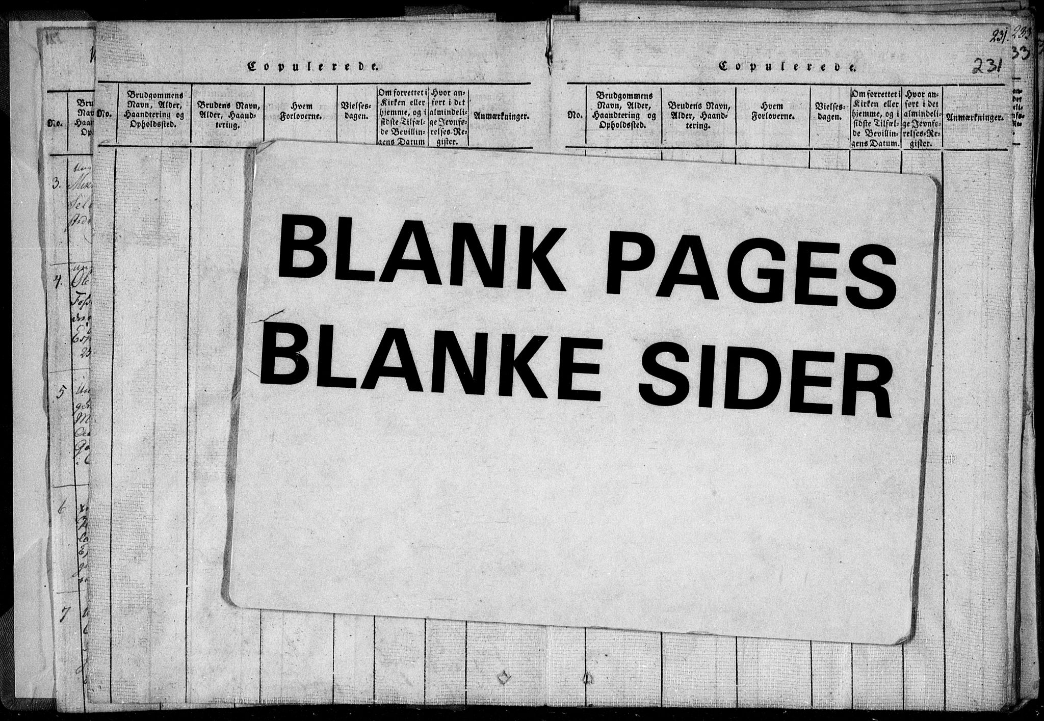 Holt sokneprestkontor, AV/SAK-1111-0021/F/Fa/L0005: Parish register (official) no. A 5, 1813-1821, p. 223