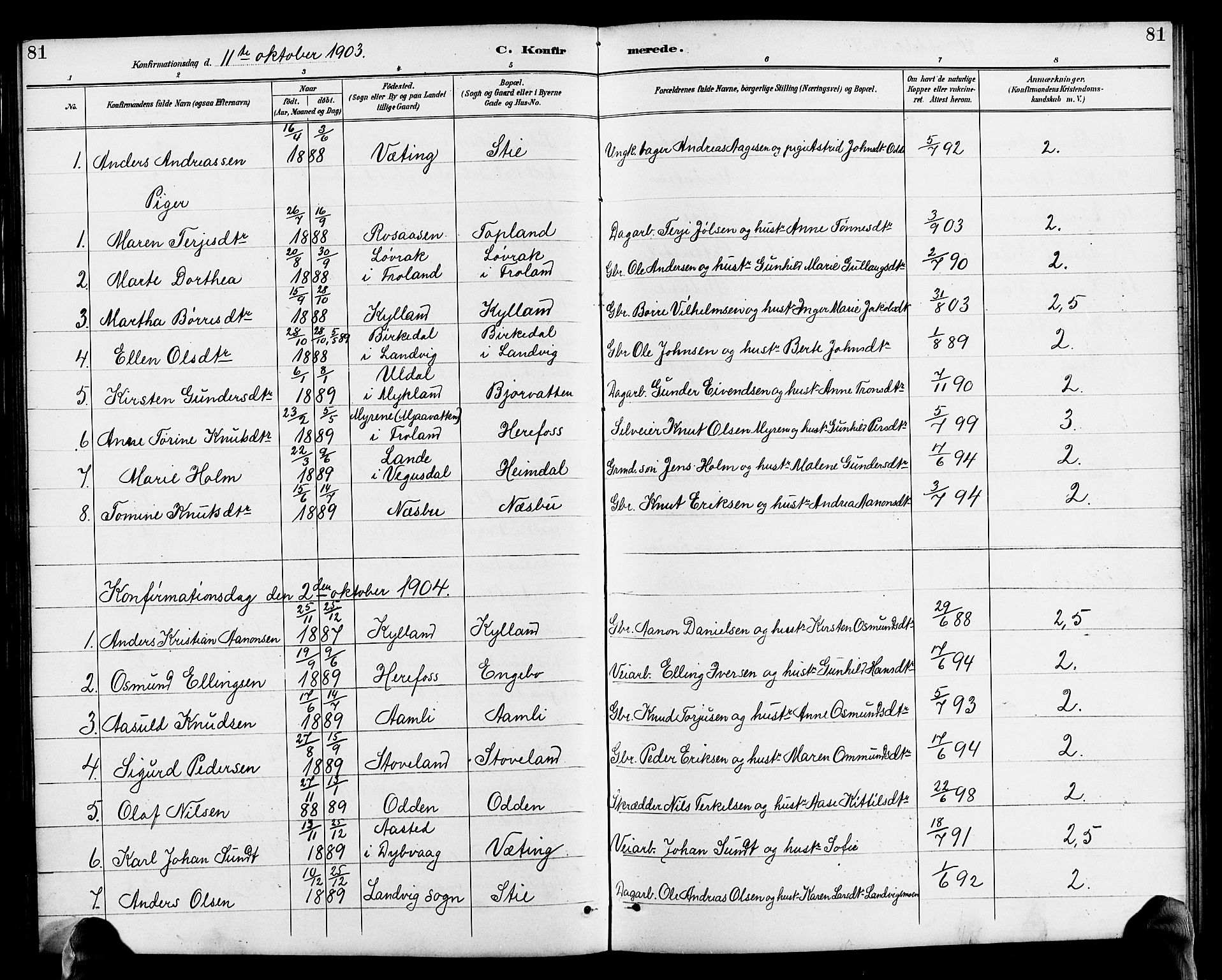 Herefoss sokneprestkontor, AV/SAK-1111-0019/F/Fb/Fba/L0003: Parish register (copy) no. B 3, 1887-1925, p. 81