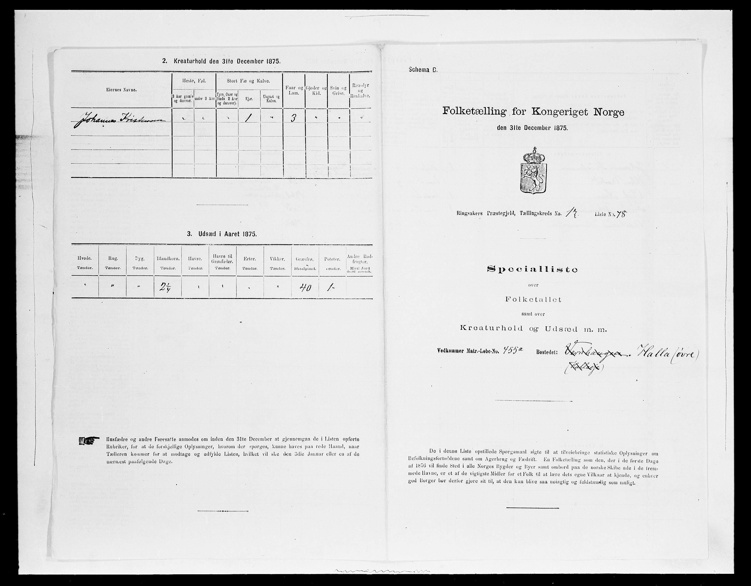 SAH, 1875 census for 0412P Ringsaker, 1875, p. 3549