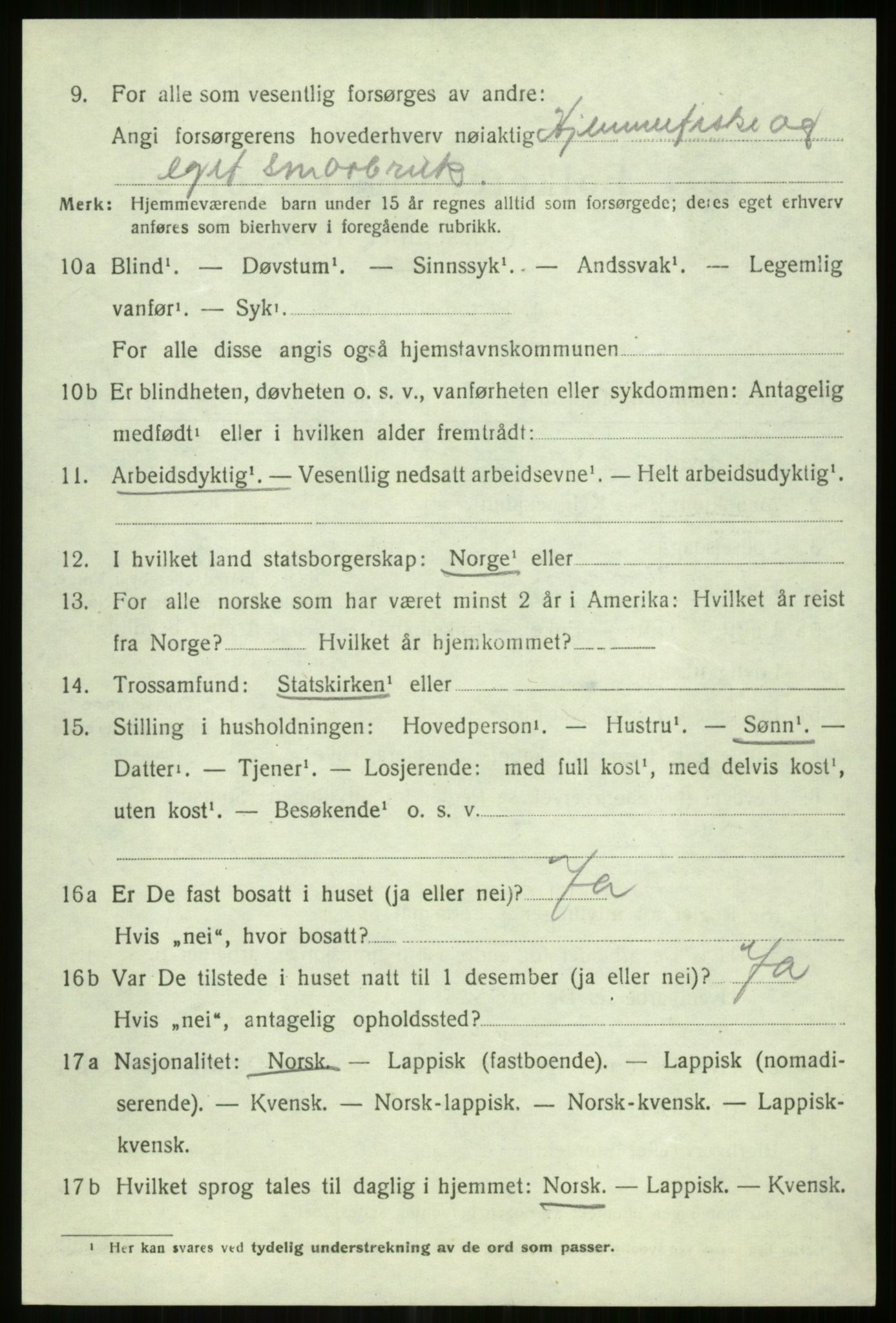 SATØ, 1920 census for Tromsøysund, 1920, p. 13021