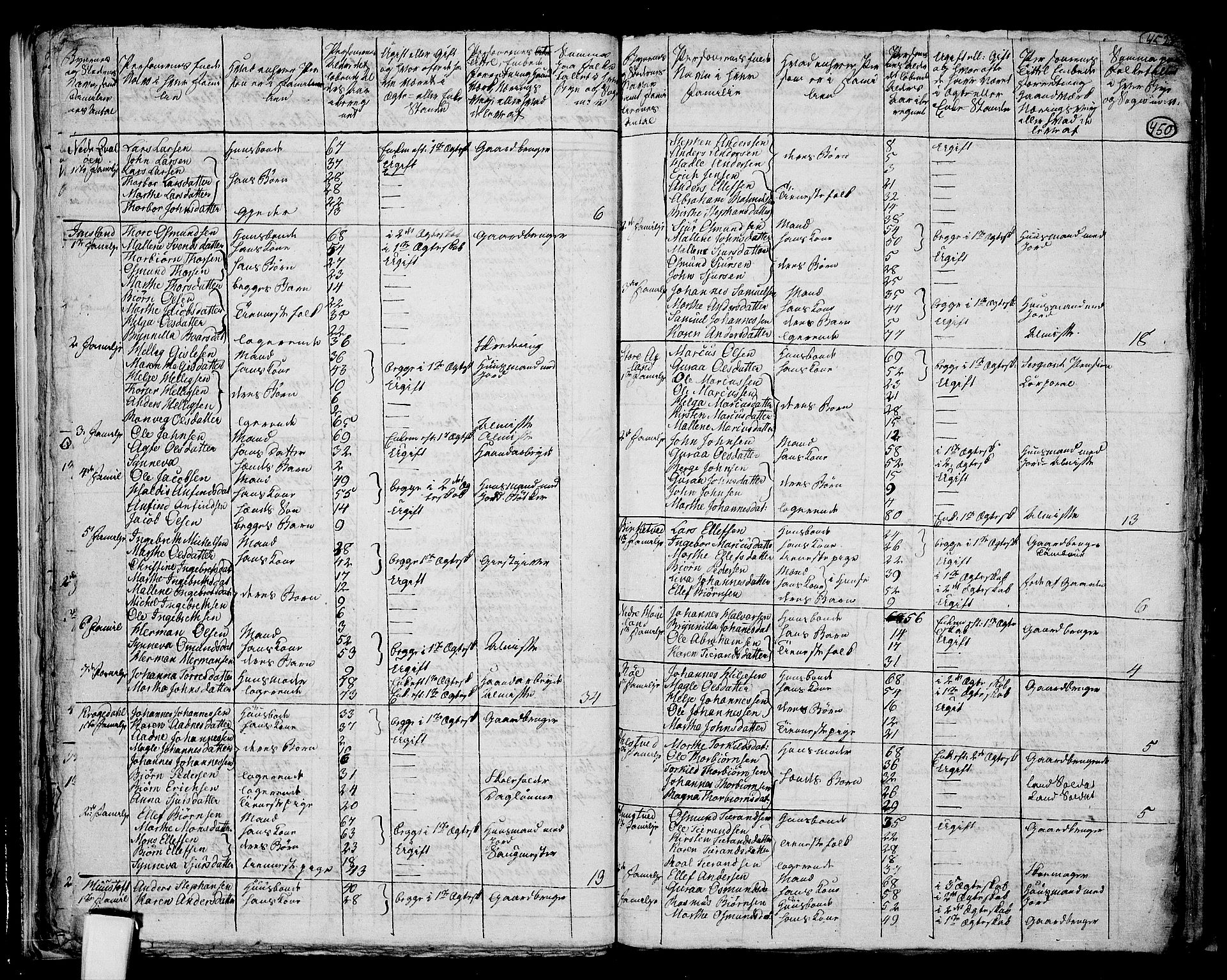 RA, 1801 census for 1157P Vikedal, 1801, p. 449b-450a