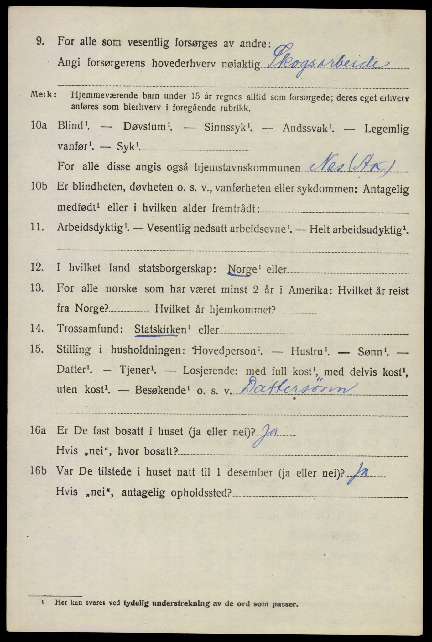 SAO, 1920 census for Nes, 1920, p. 11387