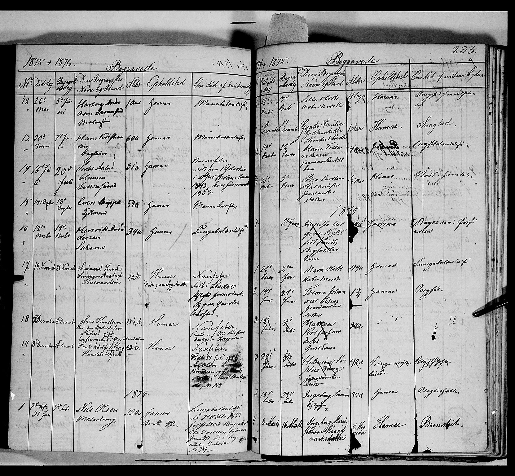 Vang prestekontor, Hedmark, SAH/PREST-008/H/Ha/Haa/L0011: Parish register (official) no. 11, 1852-1877, p. 233