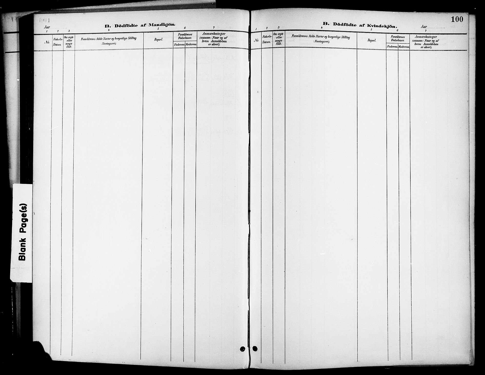 Brevik kirkebøker, SAKO/A-255/G/Ga/L0005: Parish register (copy) no. 5, 1901-1924, p. 100
