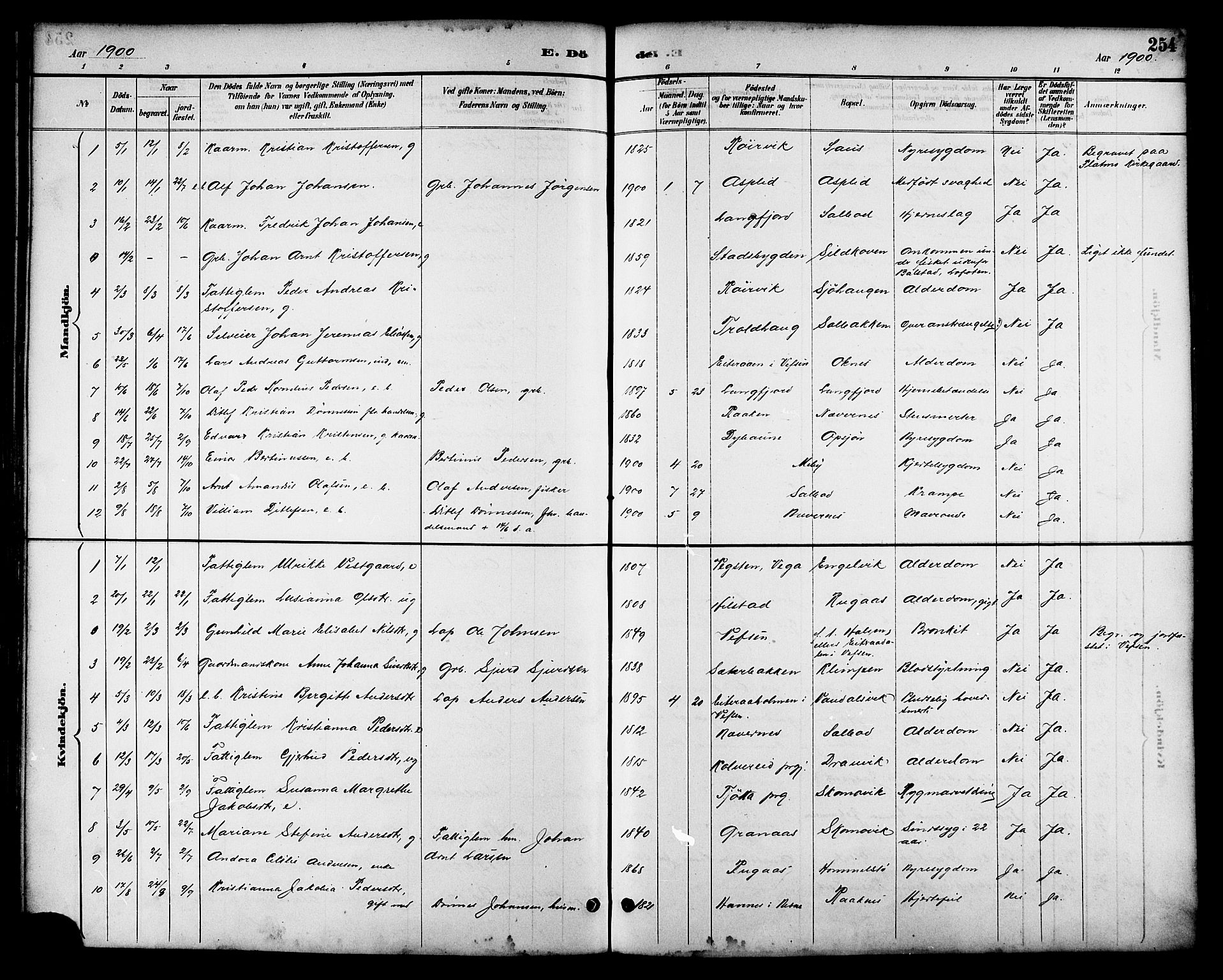 Ministerialprotokoller, klokkerbøker og fødselsregistre - Nordland, AV/SAT-A-1459/814/L0230: Parish register (copy) no. 814C03, 1884-1911, p. 254