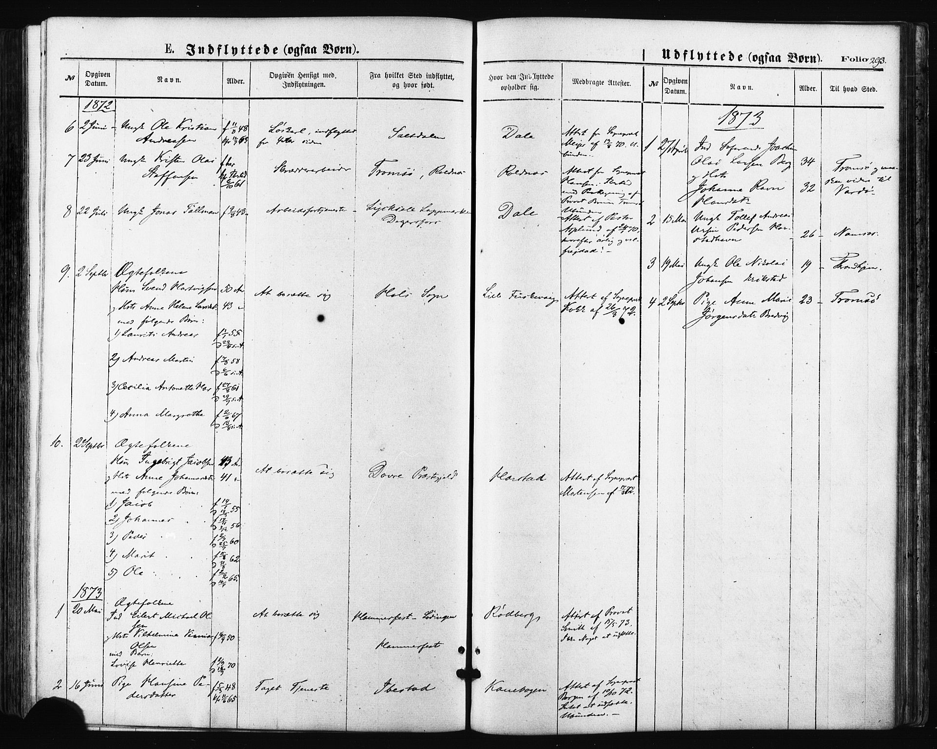 Trondenes sokneprestkontor, SATØ/S-1319/H/Ha/L0013kirke: Parish register (official) no. 13, 1870-1878, p. 293