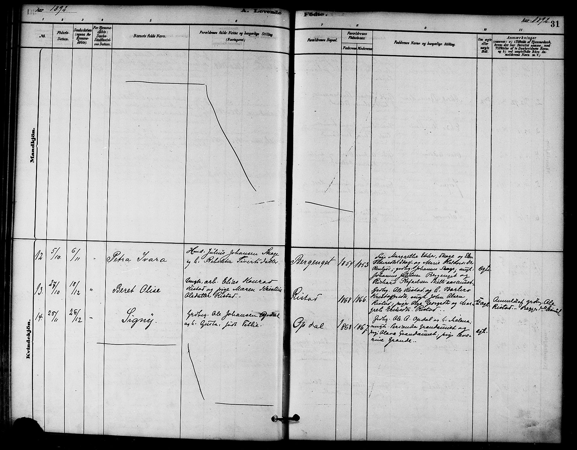 Ministerialprotokoller, klokkerbøker og fødselsregistre - Nord-Trøndelag, AV/SAT-A-1458/766/L0563: Parish register (official) no. 767A01, 1881-1899, p. 31