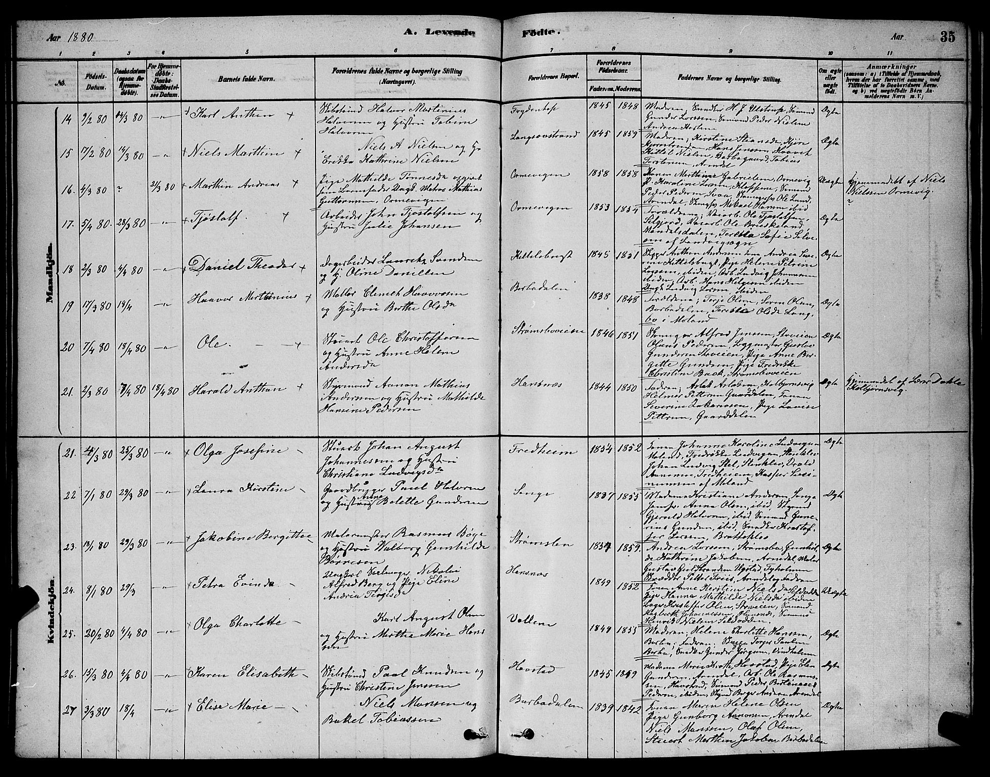 Barbu sokneprestkontor, AV/SAK-1111-0003/F/Fb/L0001: Parish register (copy) no. B 1, 1878-1890, p. 35