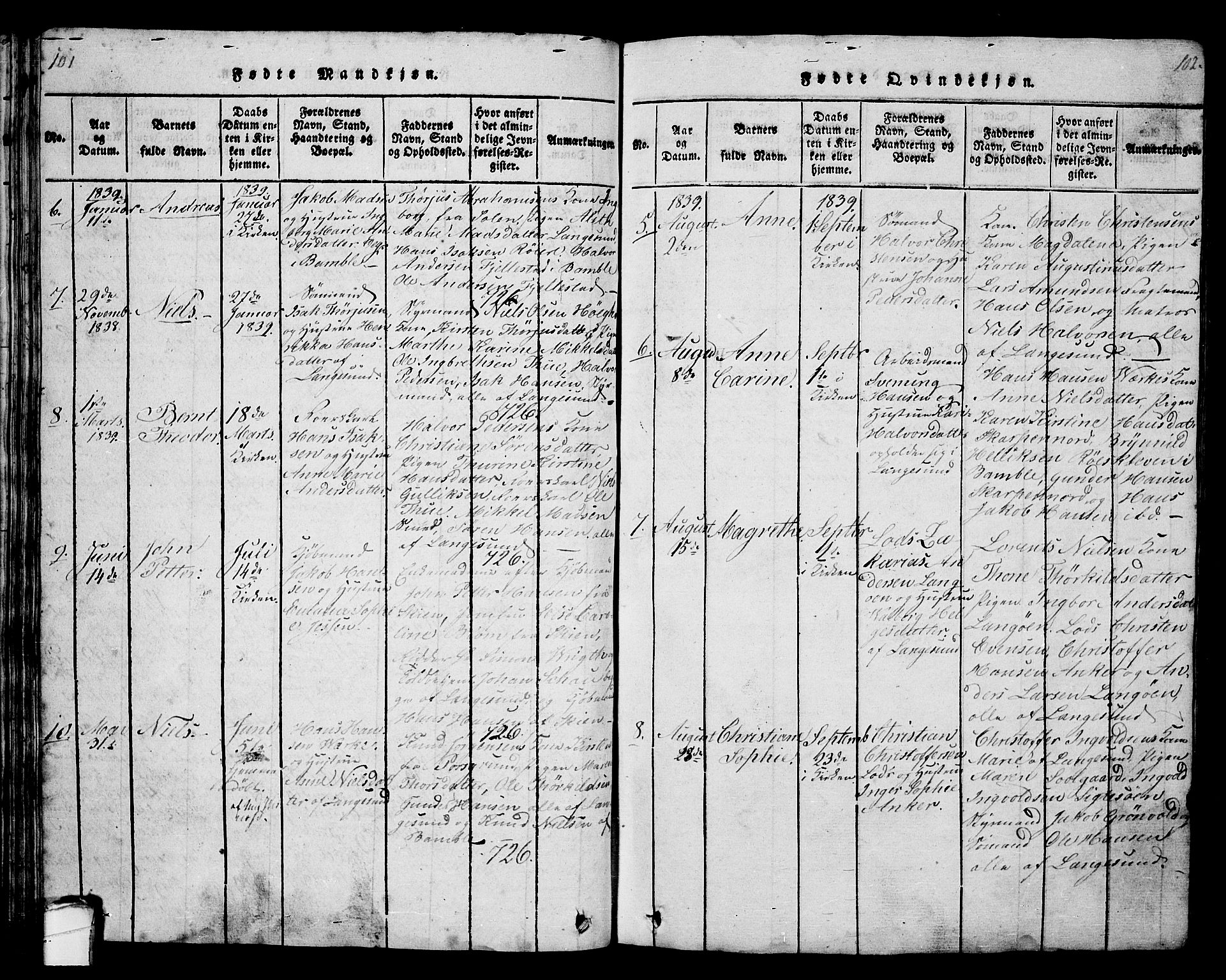 Langesund kirkebøker, SAKO/A-280/G/Ga/L0003: Parish register (copy) no. 3, 1815-1858, p. 101-102