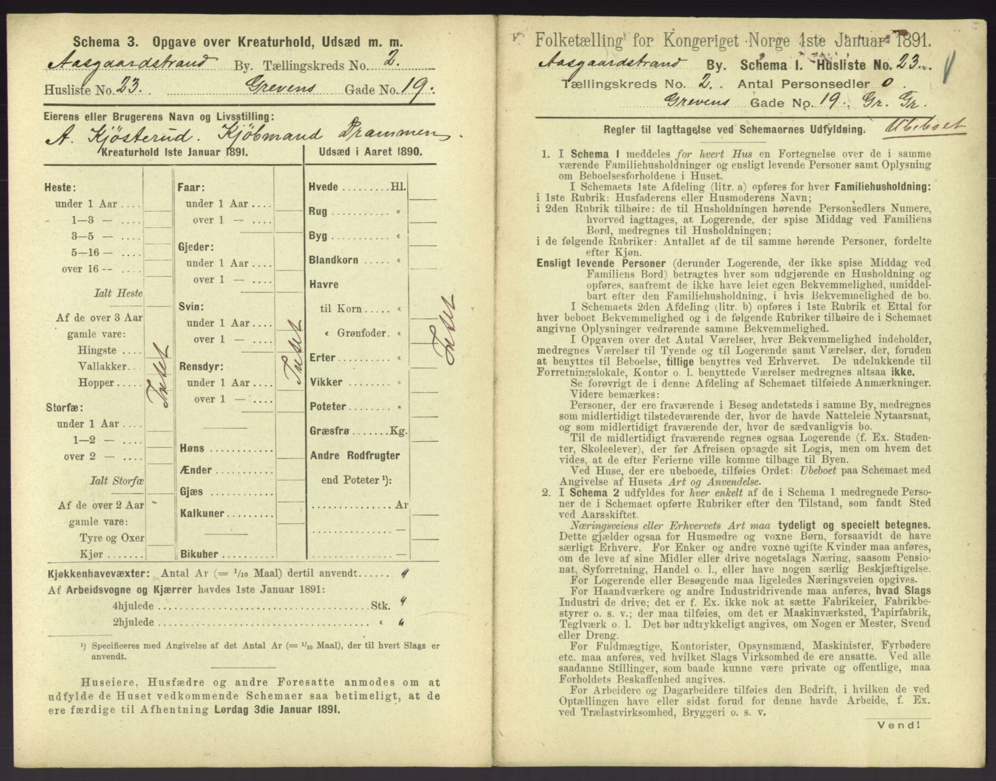 RA, 1891 census for 0704 Åsgårdstrand, 1891, p. 131