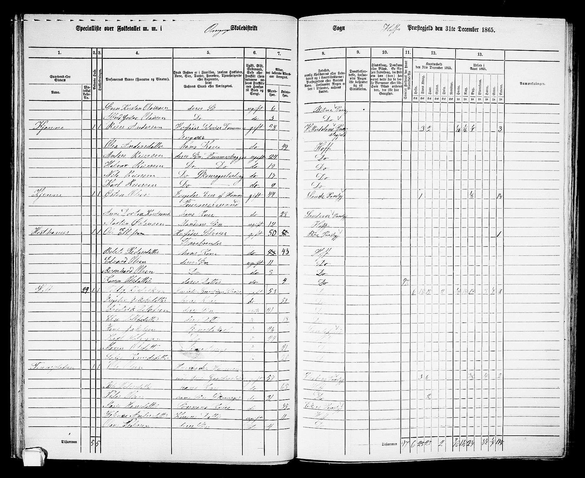 RA, 1865 census for Hof, 1865, p. 51