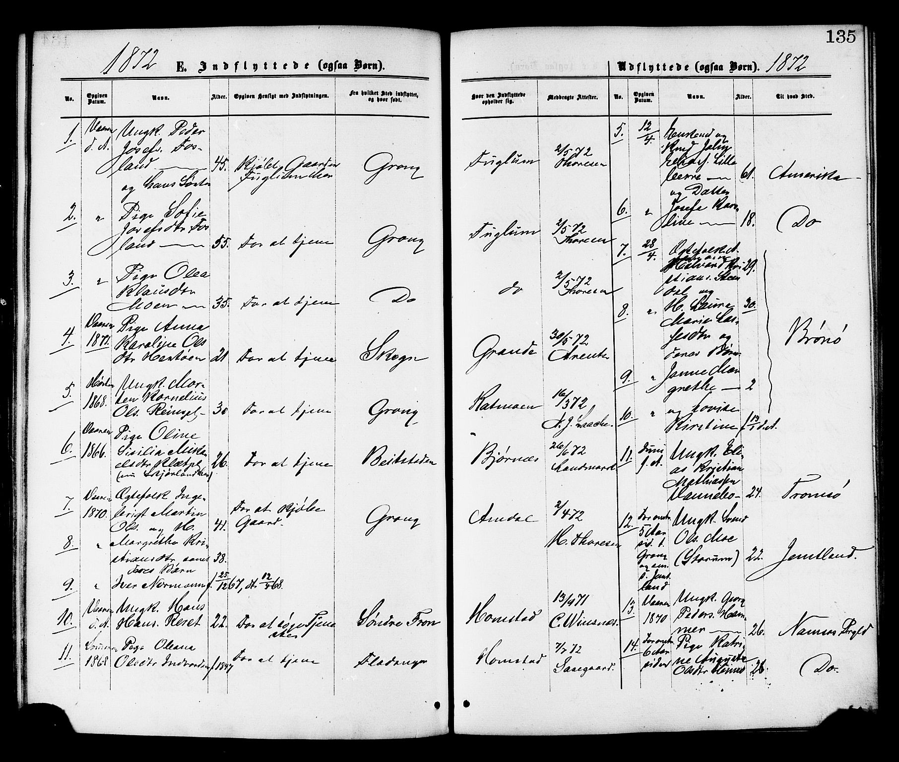 Ministerialprotokoller, klokkerbøker og fødselsregistre - Nord-Trøndelag, SAT/A-1458/764/L0554: Parish register (official) no. 764A09, 1867-1880, p. 135