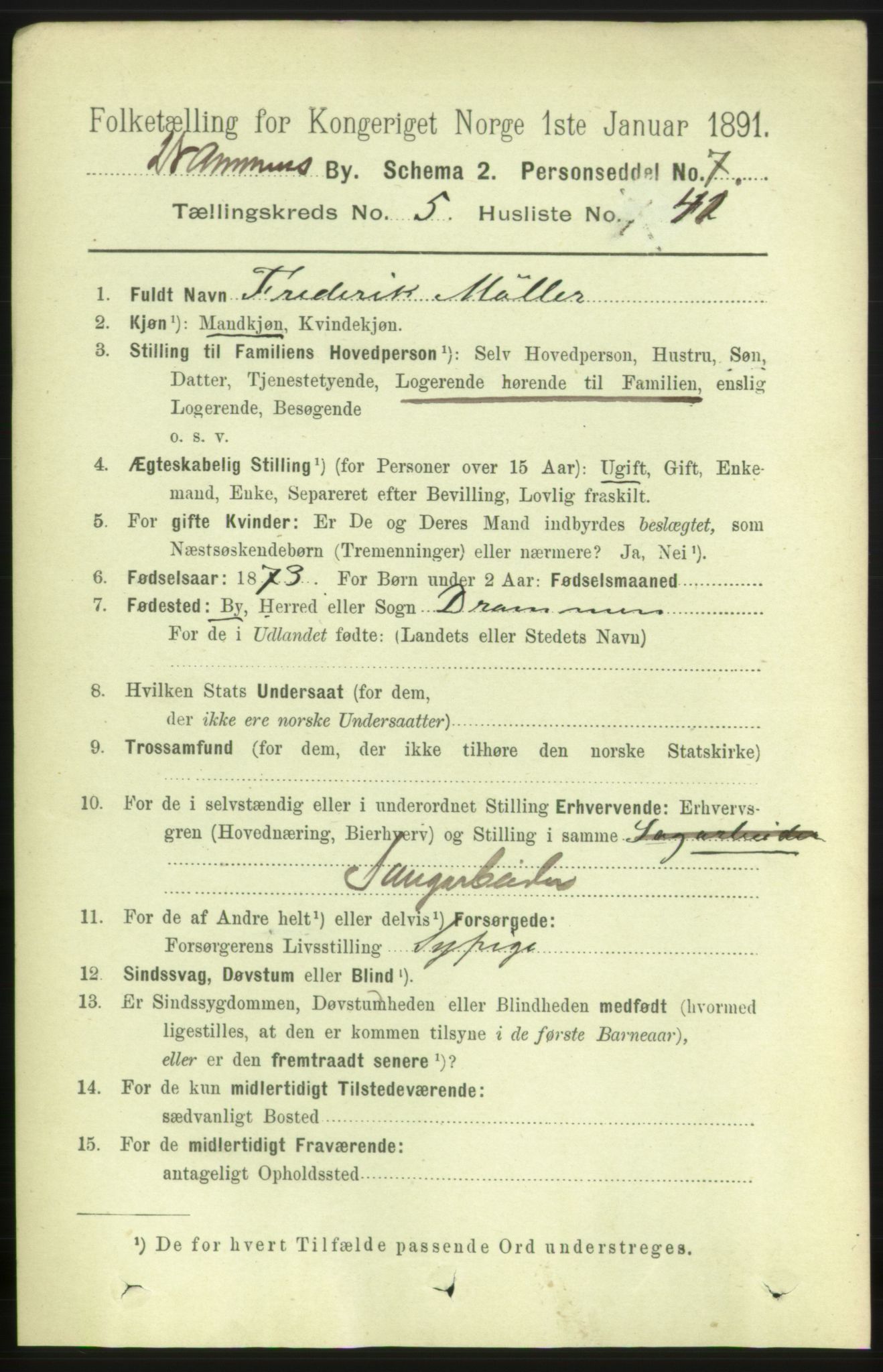 RA, 1891 census for 0602 Drammen, 1891, p. 6085