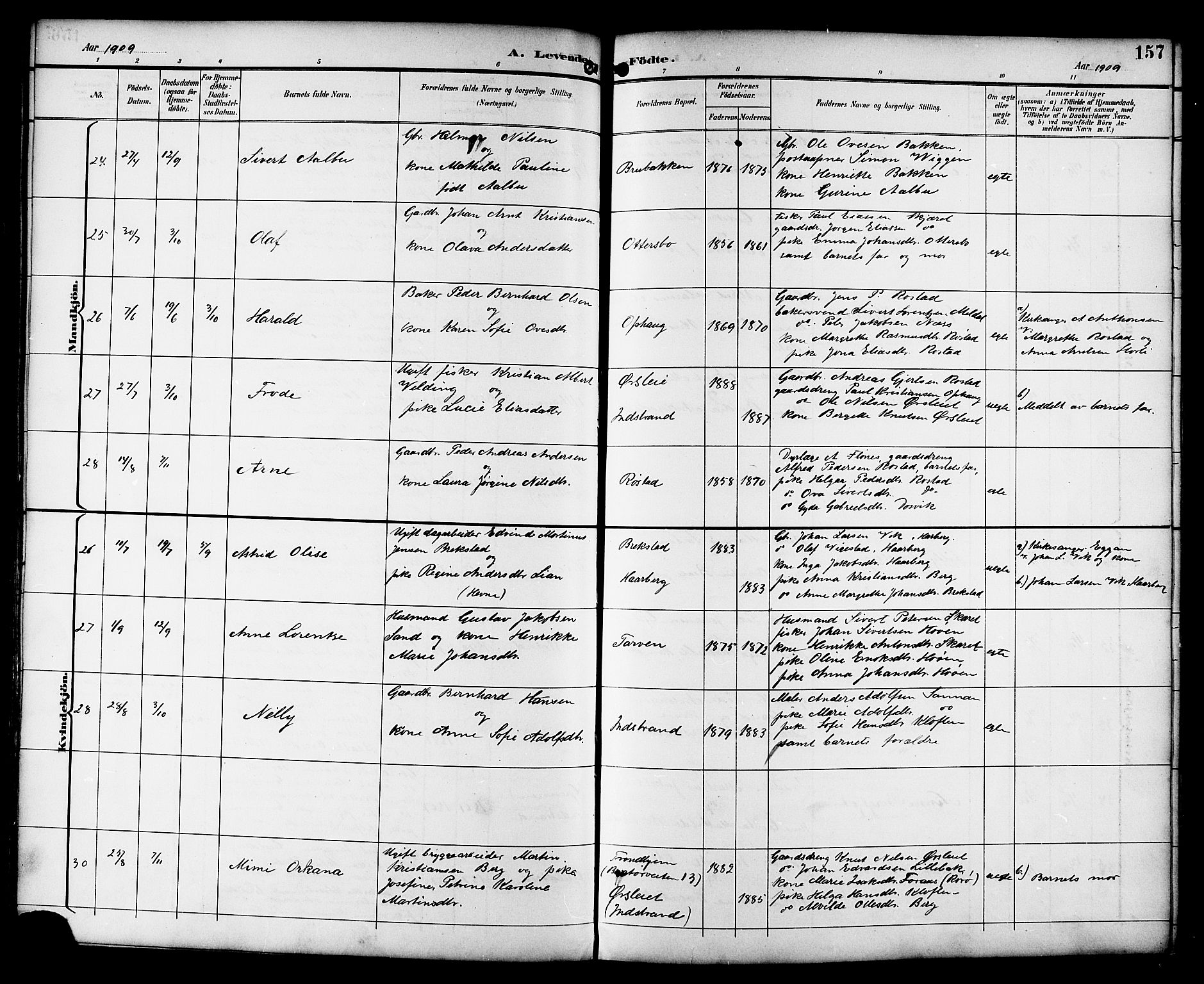 Ministerialprotokoller, klokkerbøker og fødselsregistre - Sør-Trøndelag, AV/SAT-A-1456/659/L0746: Parish register (copy) no. 659C03, 1893-1912, p. 157