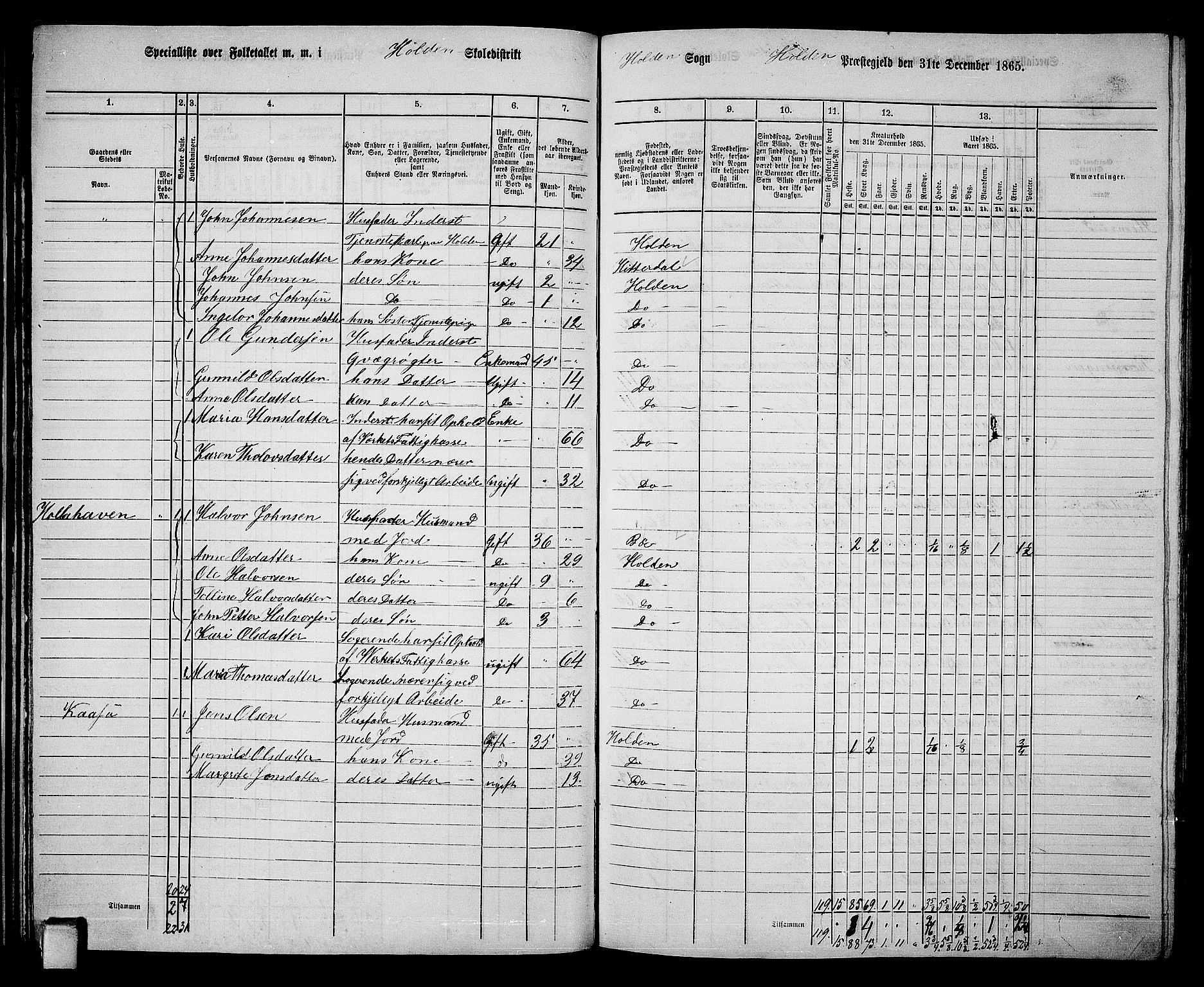 RA, 1865 census for Holla, 1865, p. 34