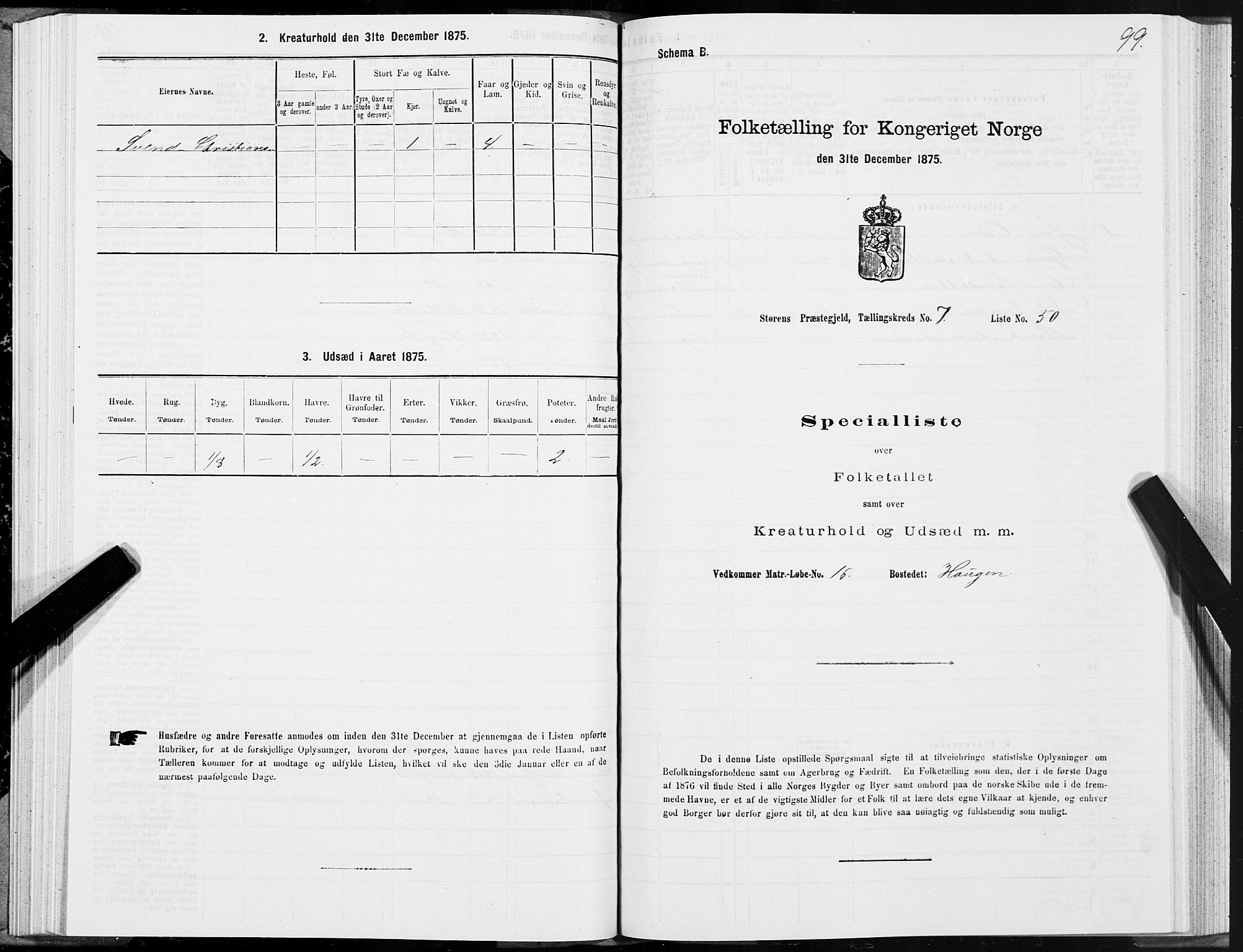 SAT, 1875 census for 1648P Støren, 1875, p. 4099