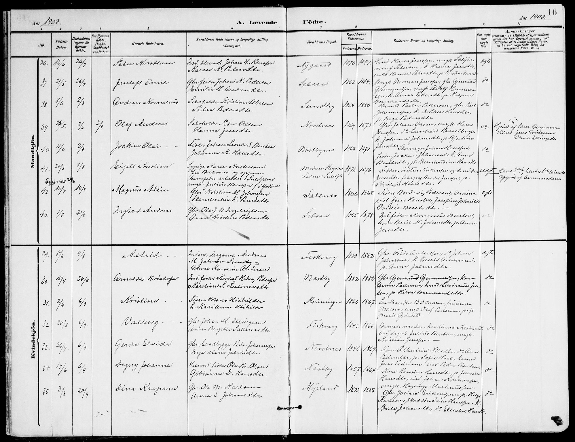 Ministerialprotokoller, klokkerbøker og fødselsregistre - Nordland, AV/SAT-A-1459/847/L0672: Parish register (official) no. 847A12, 1902-1919, p. 16