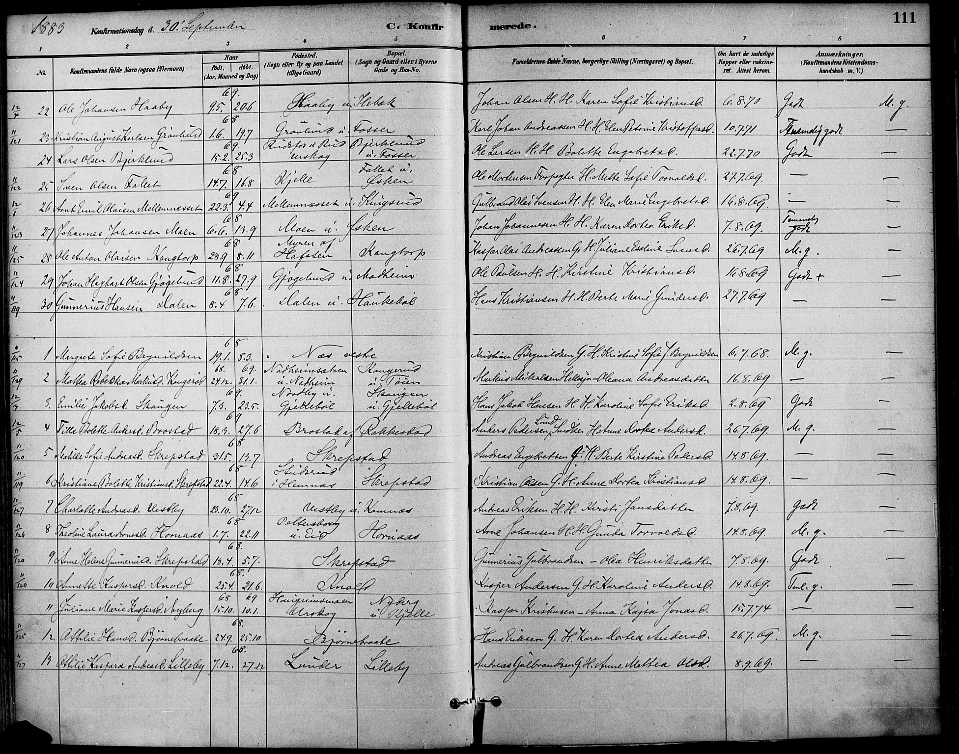Høland prestekontor Kirkebøker, SAO/A-10346a/F/Fa/L0013: Parish register (official) no. I 13, 1880-1897, p. 111