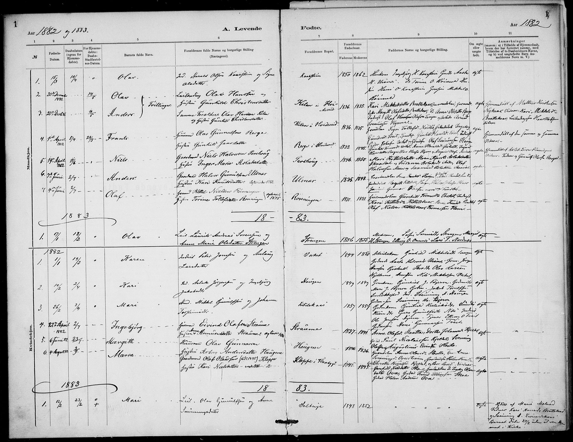 Lunde kirkebøker, AV/SAKO-A-282/F/Fb/L0003: Parish register (official) no. II 3, 1882-1891, p. 1