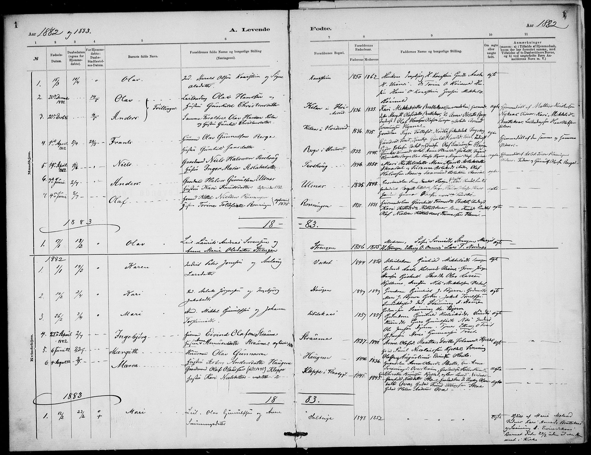 Lunde kirkebøker, SAKO/A-282/F/Fb/L0003: Parish register (official) no. II 3, 1882-1891, p. 1