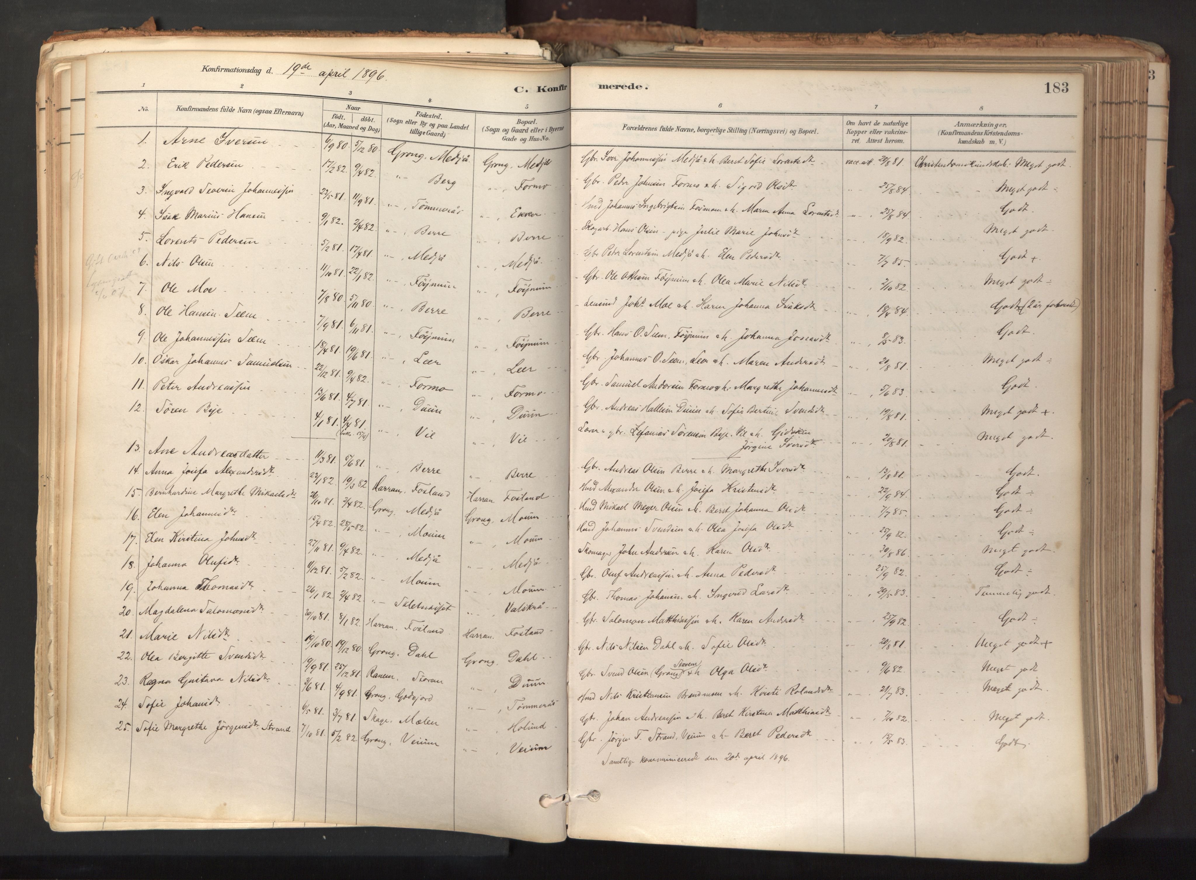 Ministerialprotokoller, klokkerbøker og fødselsregistre - Nord-Trøndelag, SAT/A-1458/758/L0519: Parish register (official) no. 758A04, 1880-1926, p. 183
