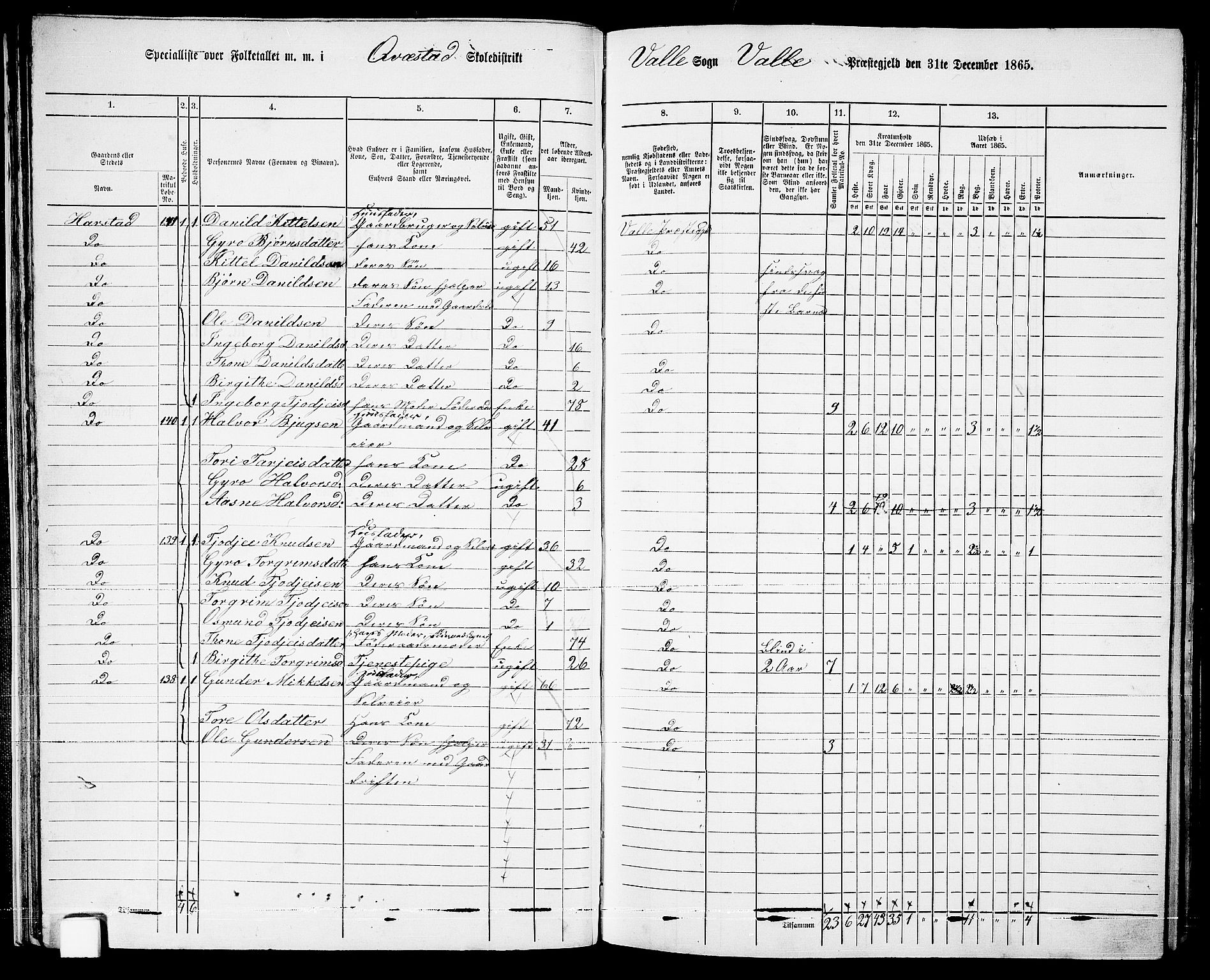 RA, 1865 census for Valle, 1865, p. 39