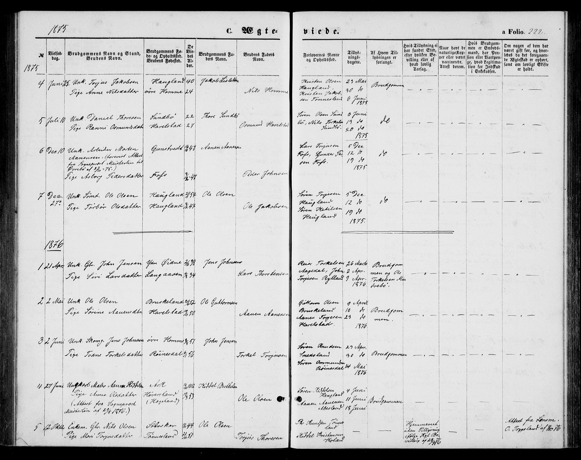 Bjelland sokneprestkontor, AV/SAK-1111-0005/F/Fb/Fba/L0004: Parish register (copy) no. B 4, 1869-1886, p. 222