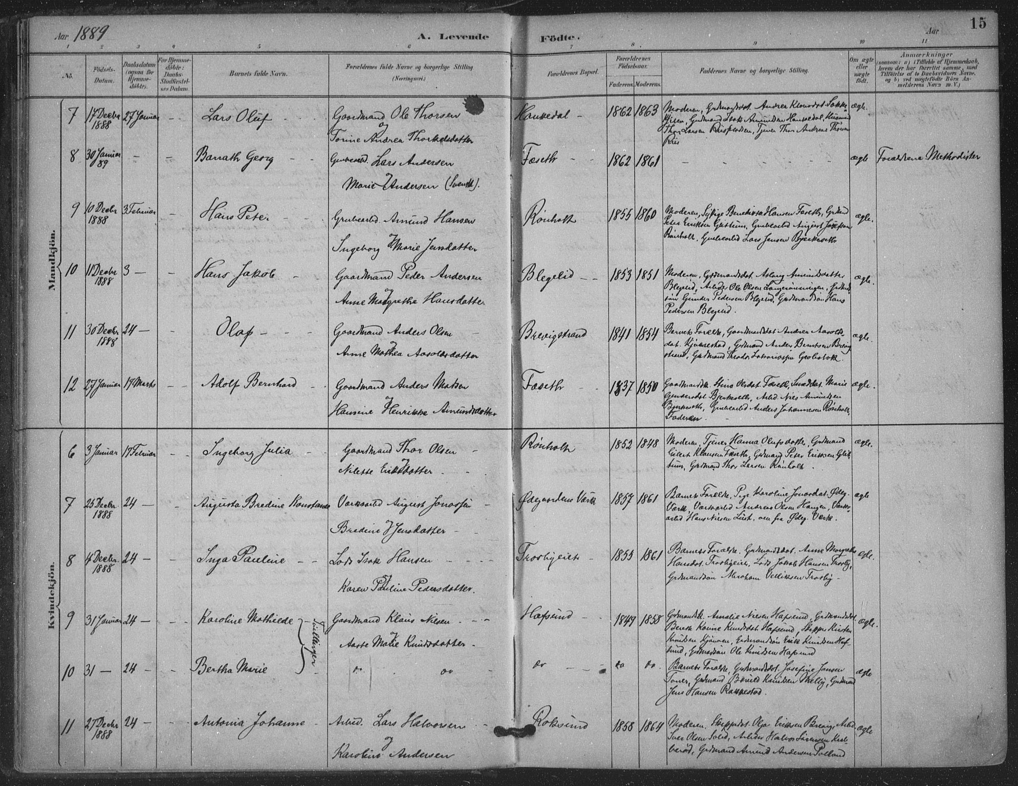 Bamble kirkebøker, AV/SAKO-A-253/F/Fa/L0008: Parish register (official) no. I 8, 1888-1900, p. 15