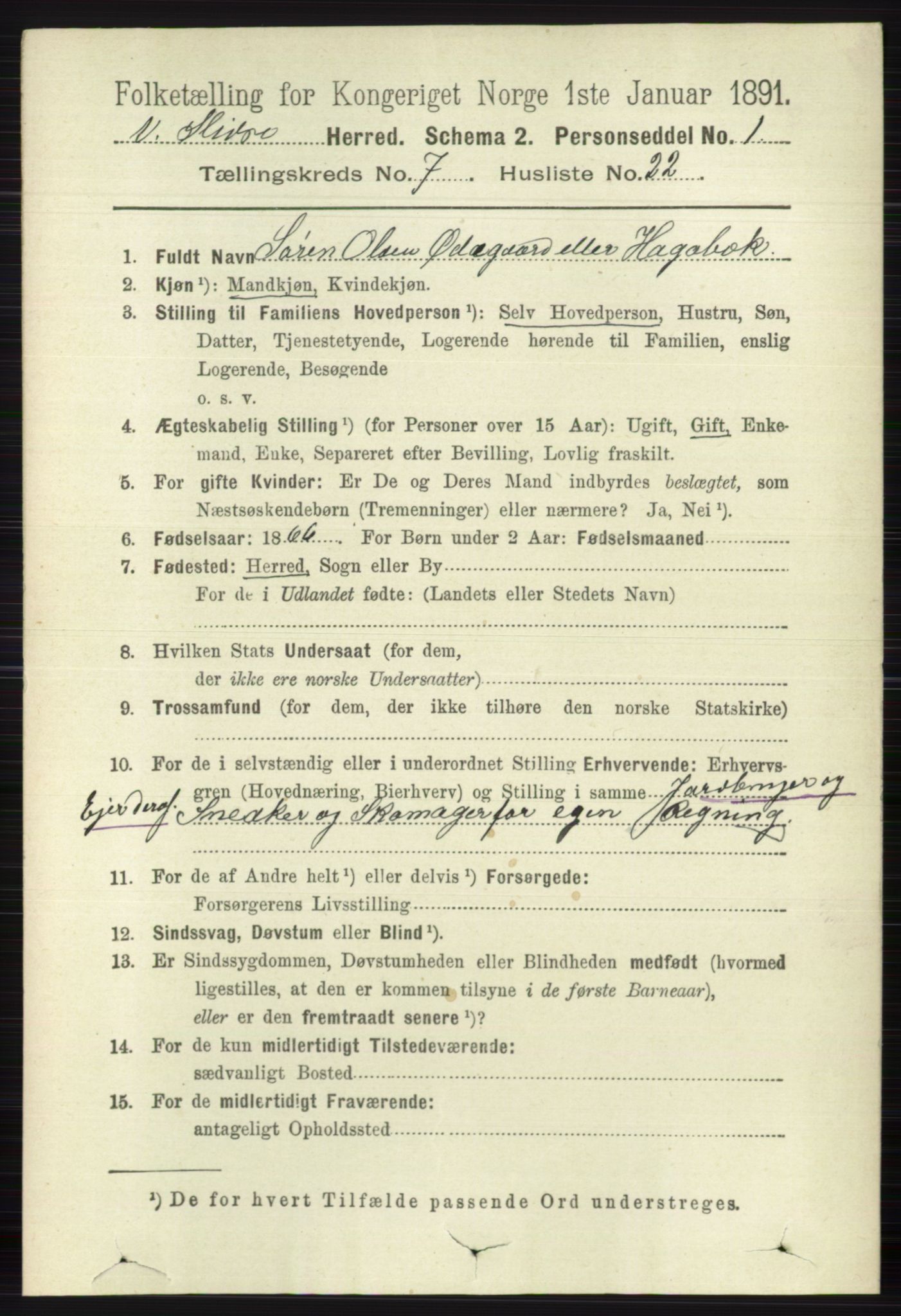 RA, 1891 census for 0543 Vestre Slidre, 1891, p. 2711