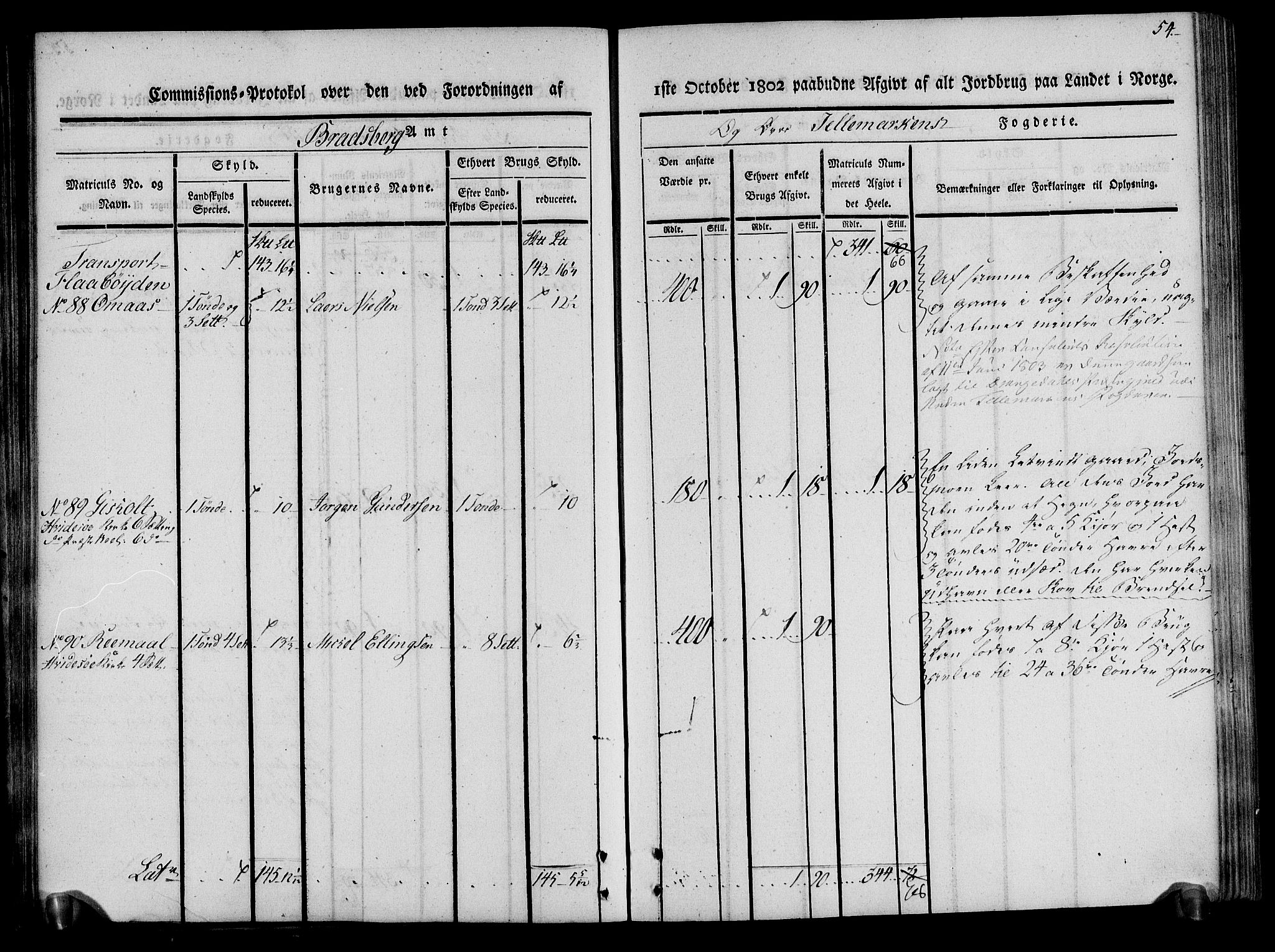 Rentekammeret inntil 1814, Realistisk ordnet avdeling, AV/RA-EA-4070/N/Ne/Nea/L0075: Øvre Telemarken fogderi. Kommisjonsprotokoll for fogderiets vestre del - Kviteseid, Vinje, Moland [):Fyresdal] og Lårdal prestegjeld., 1803, p. 54