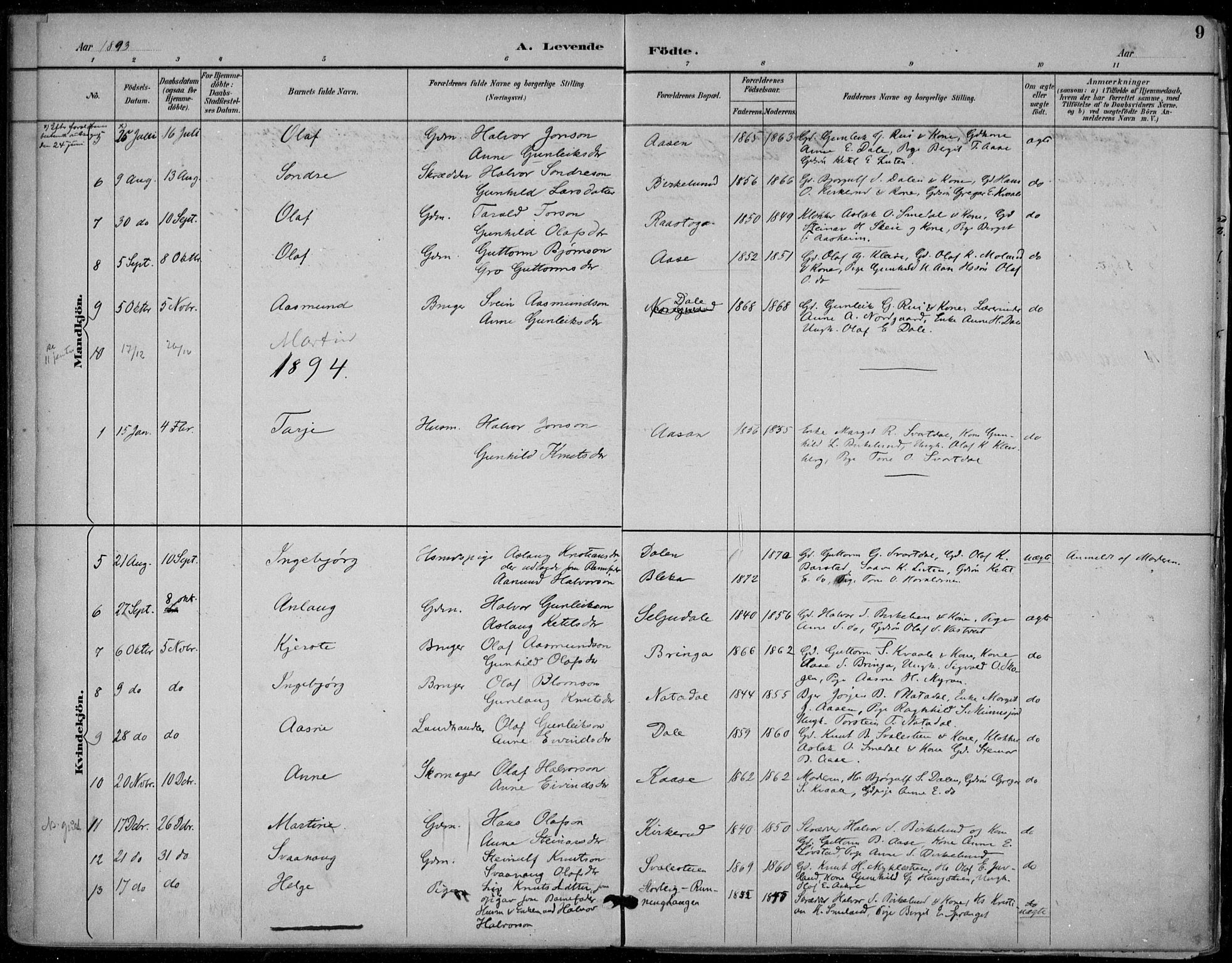 Seljord kirkebøker, SAKO/A-20/F/Fb/L0002: Parish register (official) no. II 2, 1887-1917, p. 9