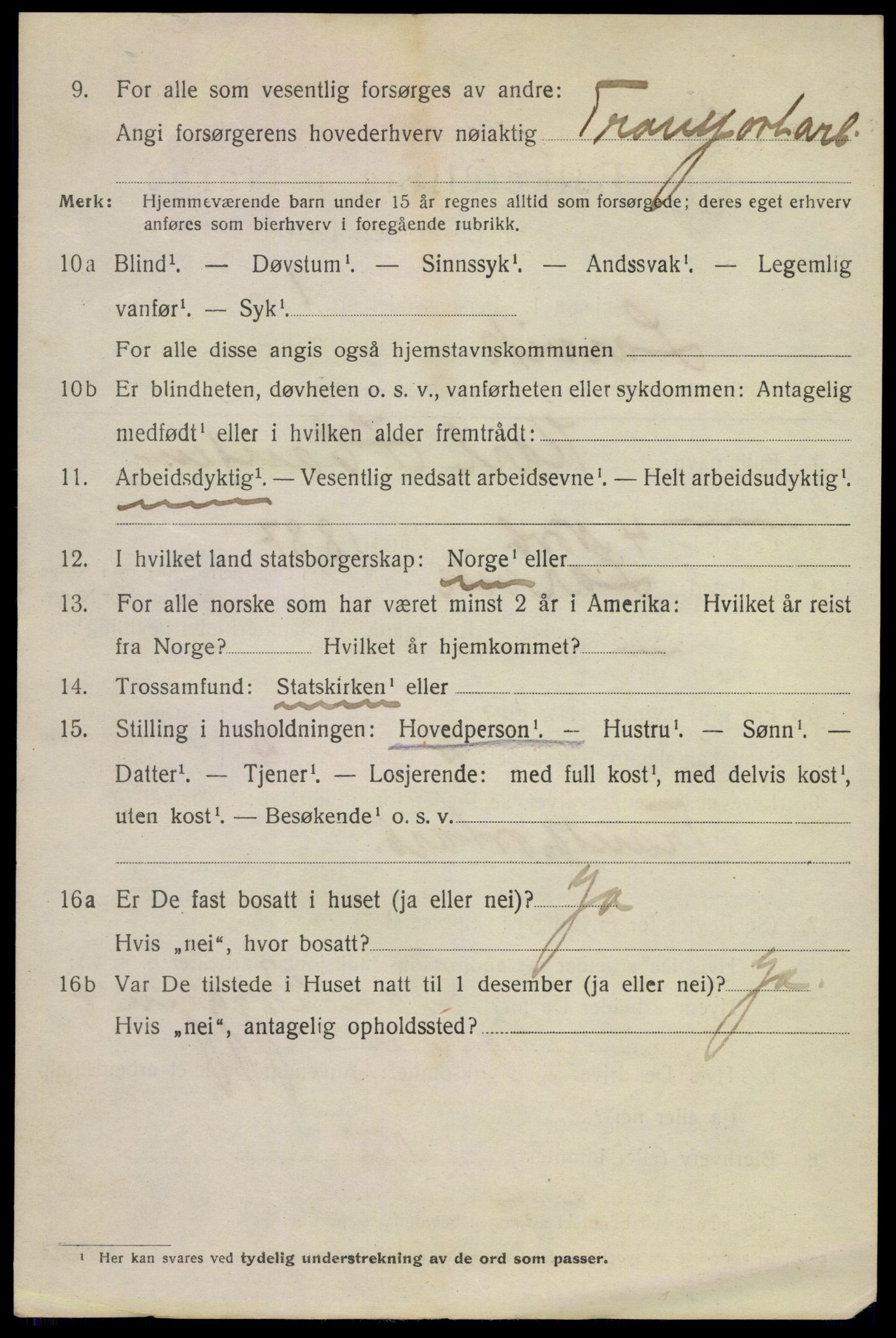 SAKO, 1920 census for Larvik, 1920, p. 16063