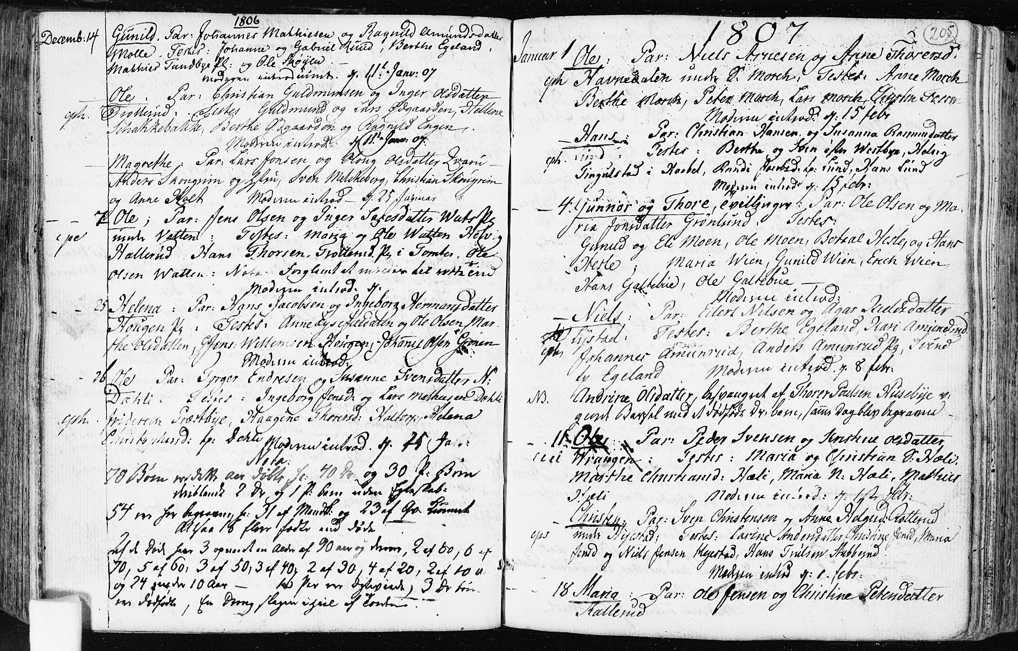 Spydeberg prestekontor Kirkebøker, AV/SAO-A-10924/F/Fa/L0003: Parish register (official) no. I 3, 1778-1814, p. 205