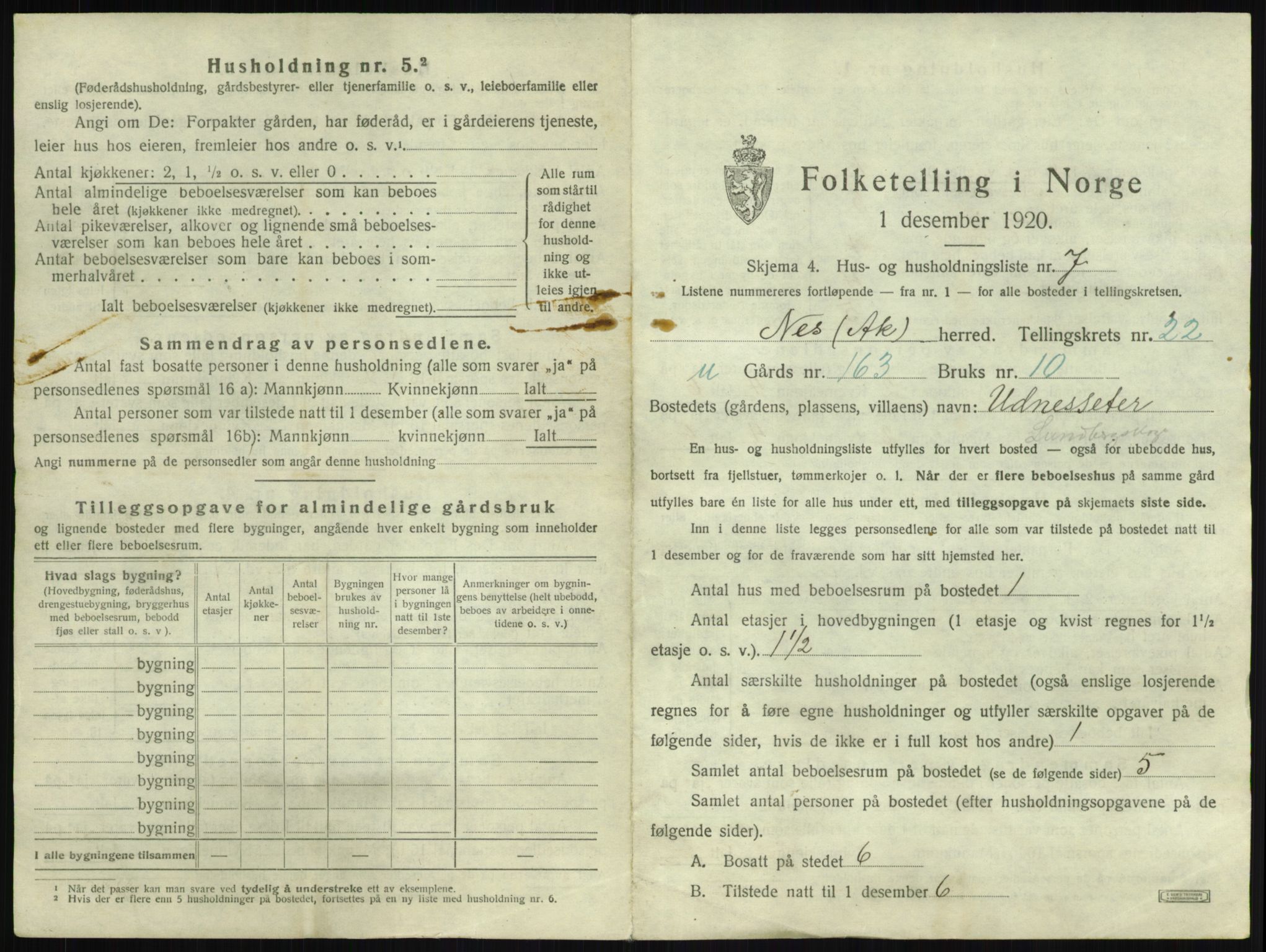 SAO, 1920 census for Nes, 1920, p. 3386