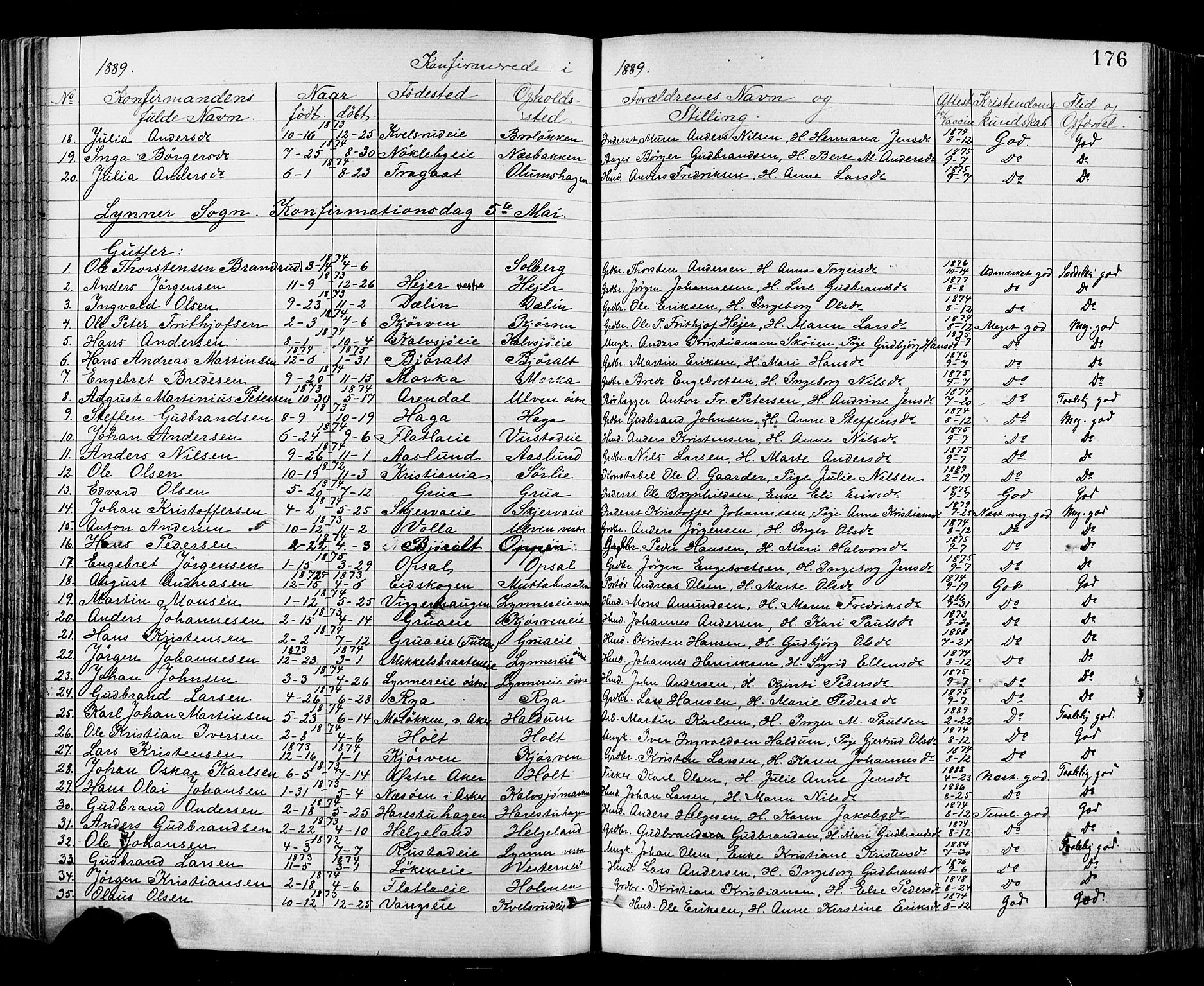Jevnaker prestekontor, SAH/PREST-116/H/Ha/Haa/L0008: Parish register (official) no. 8, 1877-1890, p. 176