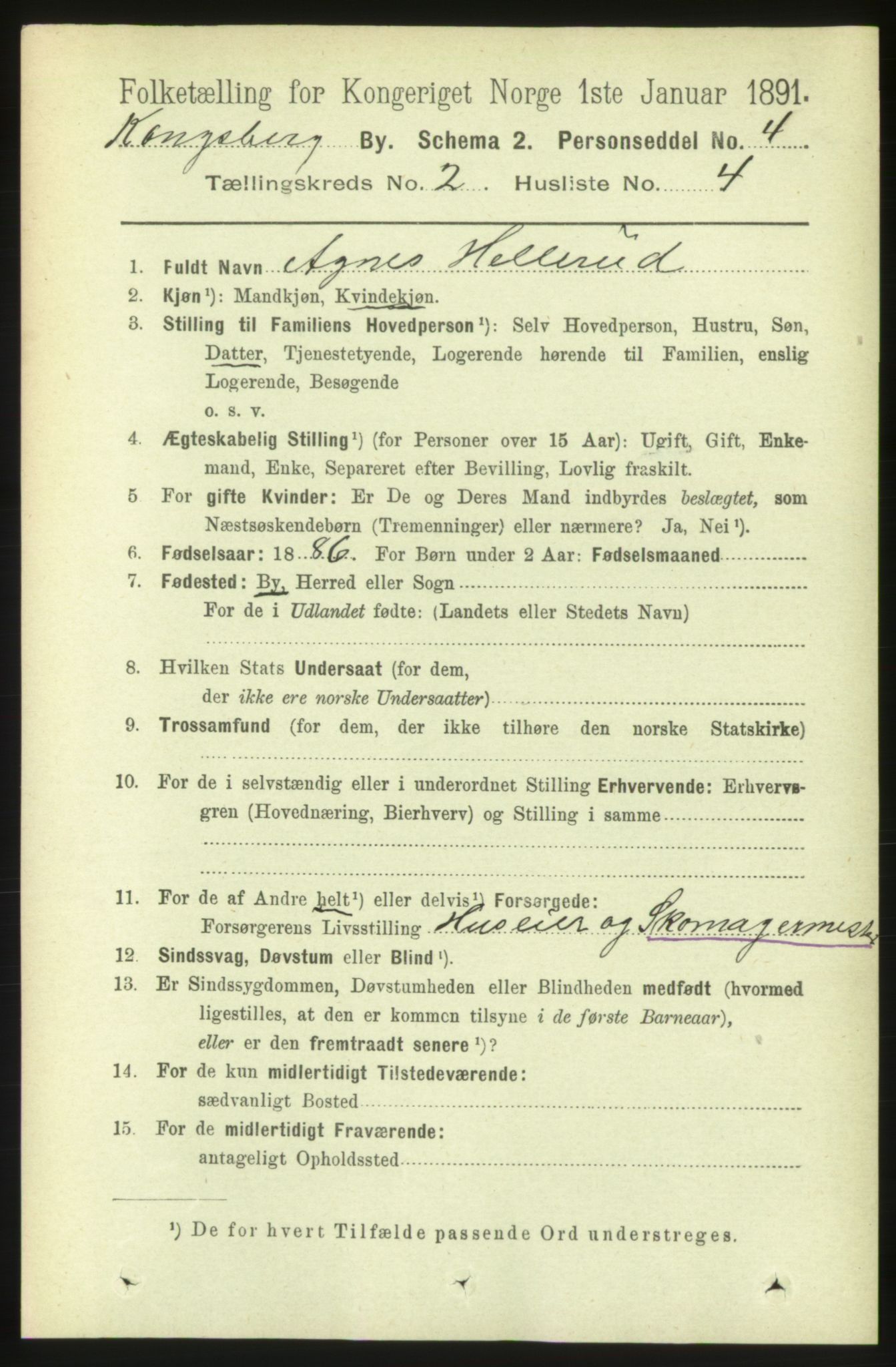 RA, 1891 census for 0604 Kongsberg, 1891, p. 2238