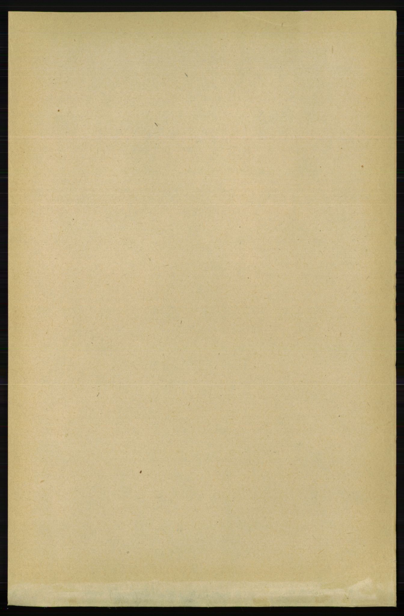 RA, 1891 census for 0923 Fjære, 1891, p. 119