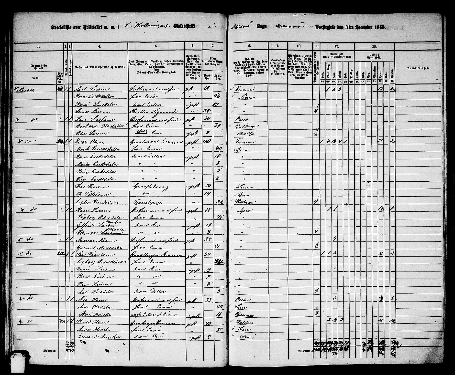 RA, 1865 census for Aukra, 1865, p. 39