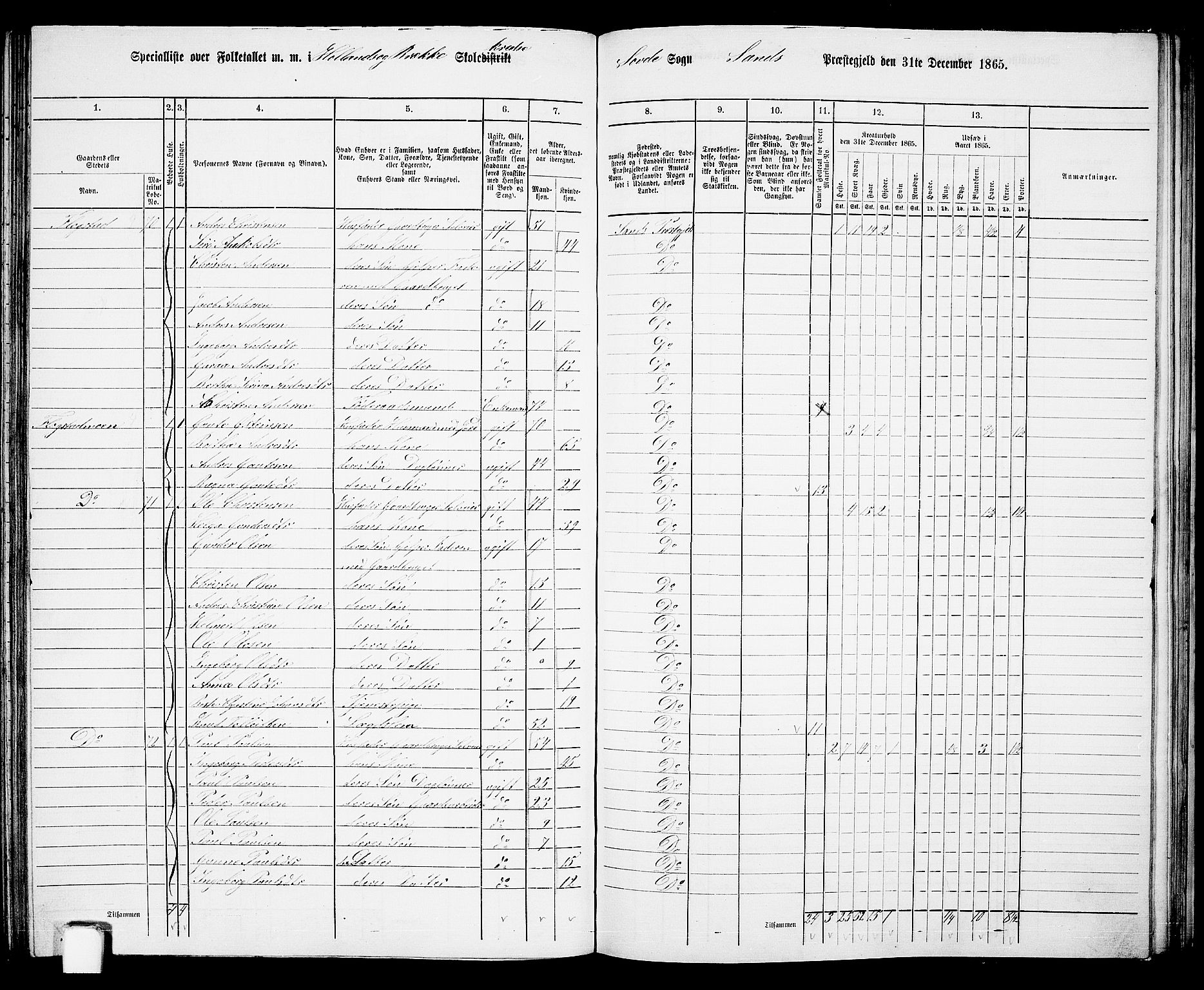 RA, 1865 census for Sand, 1865, p. 108