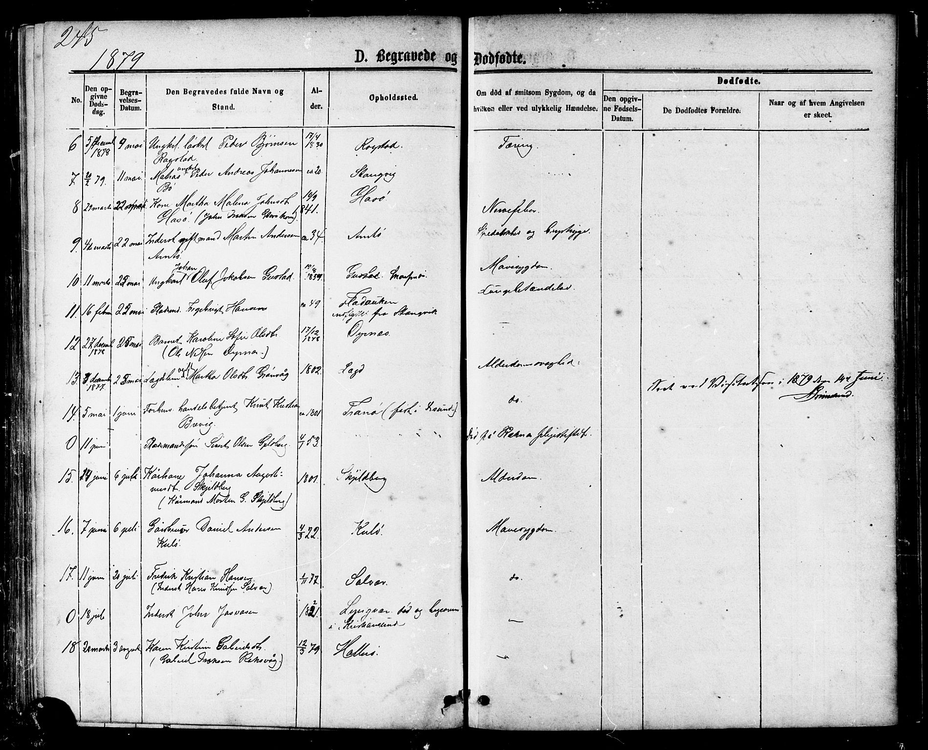 Ministerialprotokoller, klokkerbøker og fødselsregistre - Møre og Romsdal, AV/SAT-A-1454/581/L0938: Parish register (official) no. 581A06, 1873-1879, p. 245