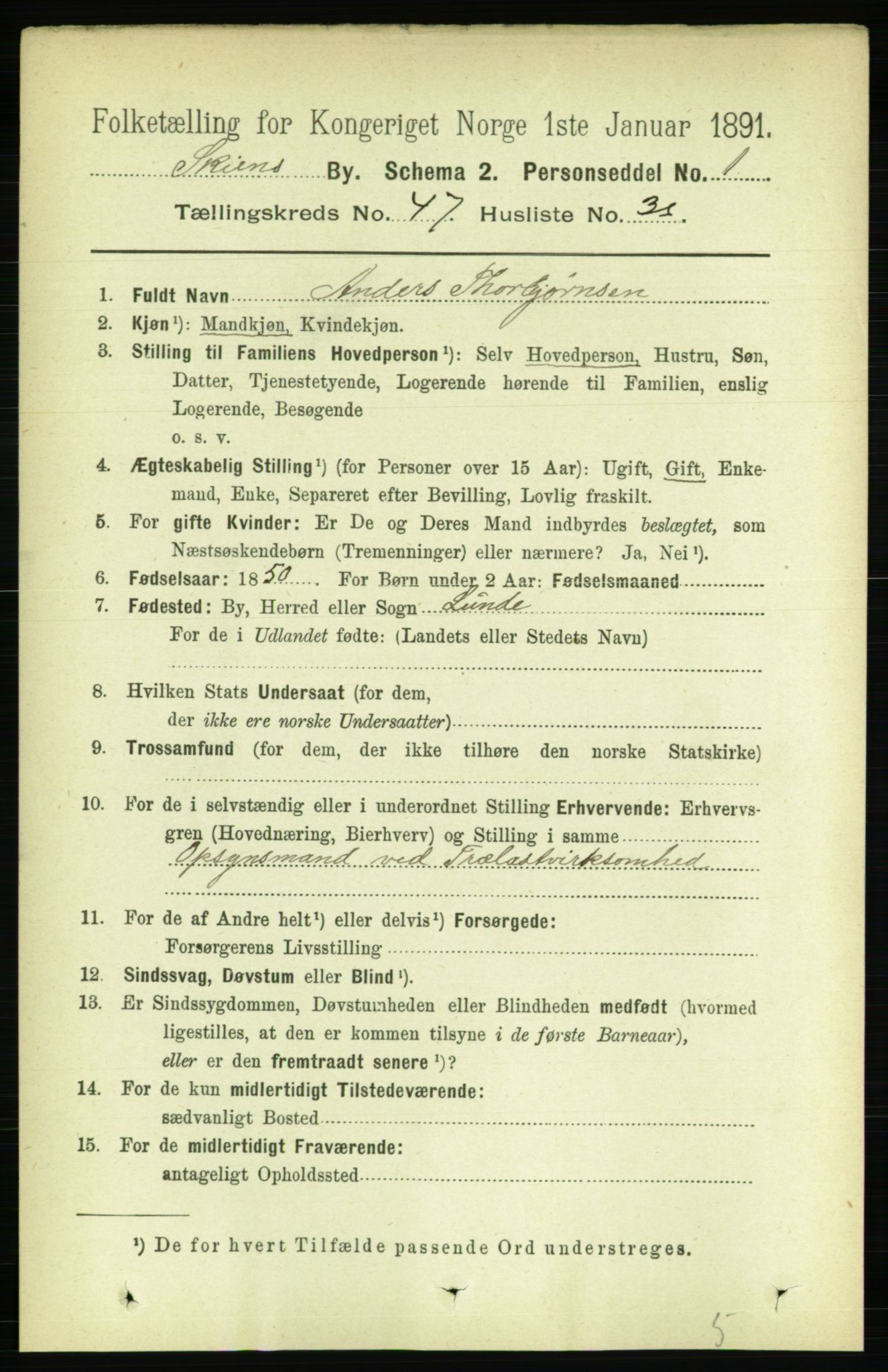 RA, 1891 census for 0806 Skien, 1891, p. 9517