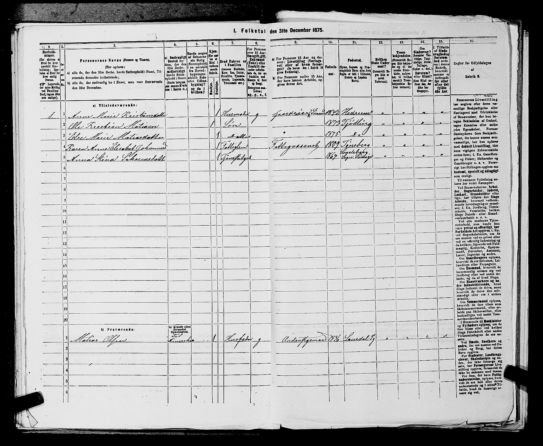 SAKO, 1875 census for 0725P Tjølling, 1875, p. 712