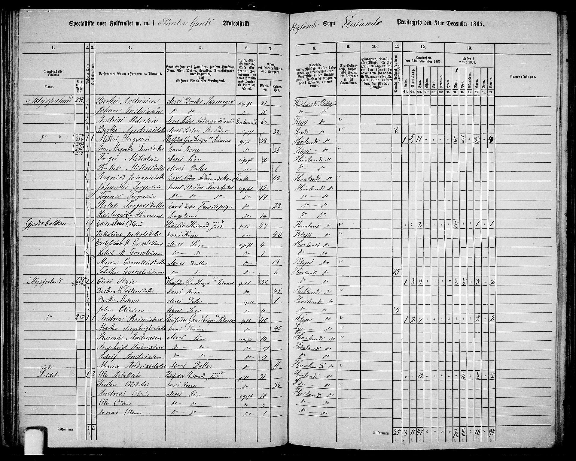 RA, 1865 census for Høyland, 1865, p. 49