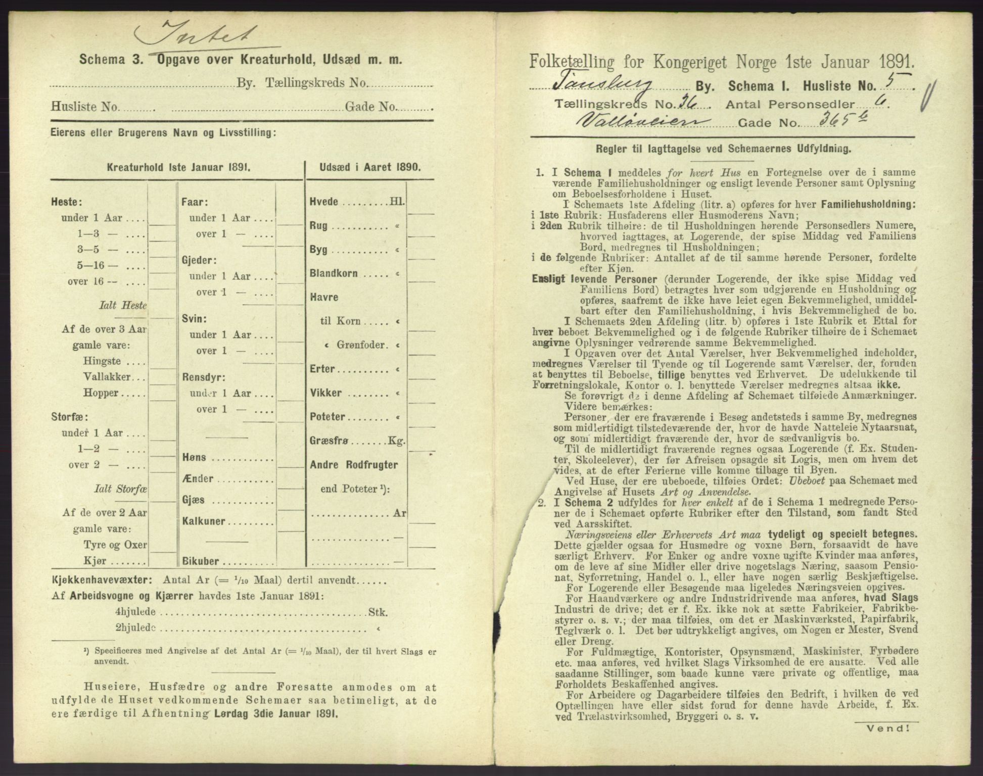 RA, 1891 census for 0705 Tønsberg, 1891, p. 1036