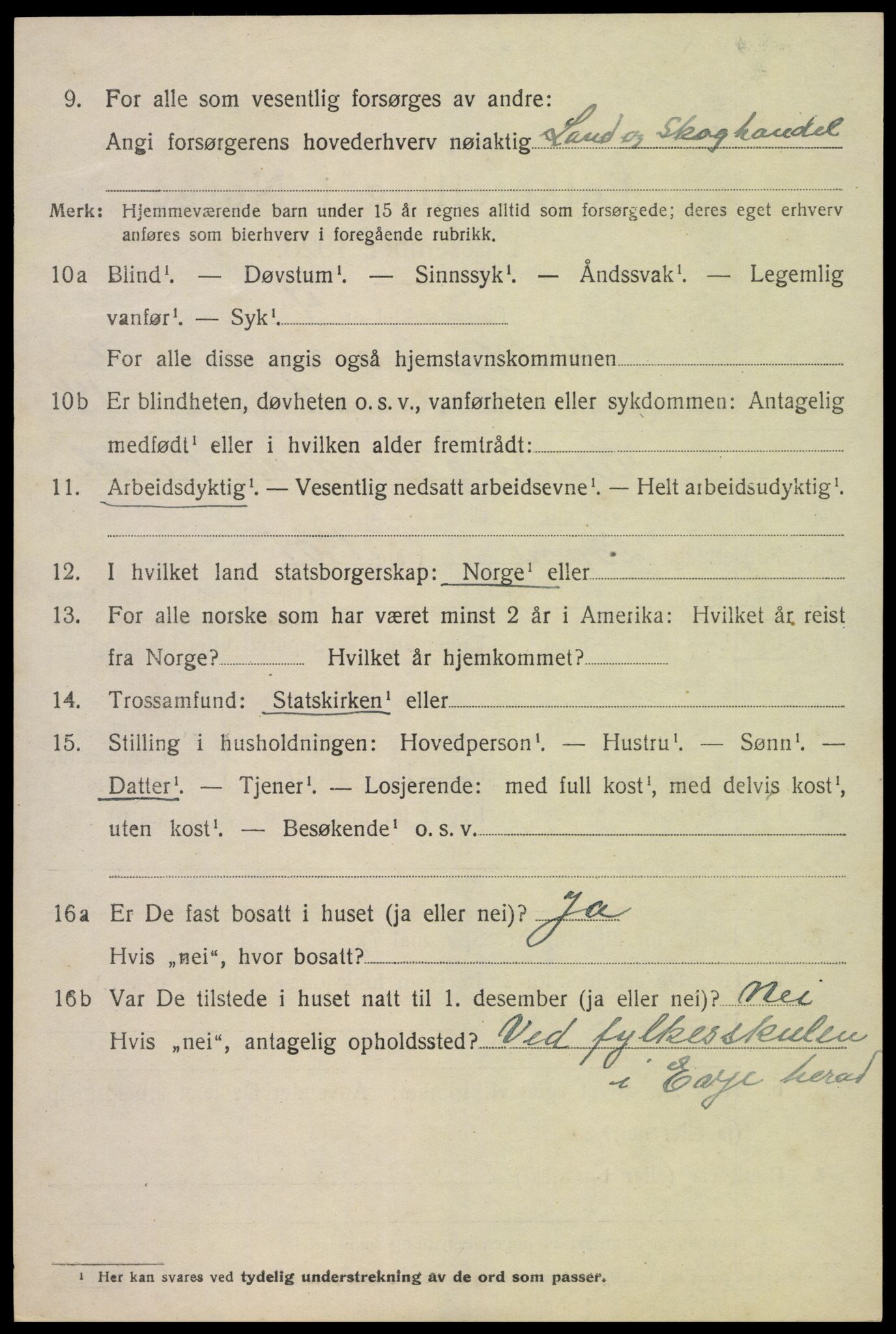 SAK, 1920 census for Valle, 1920, p. 1160