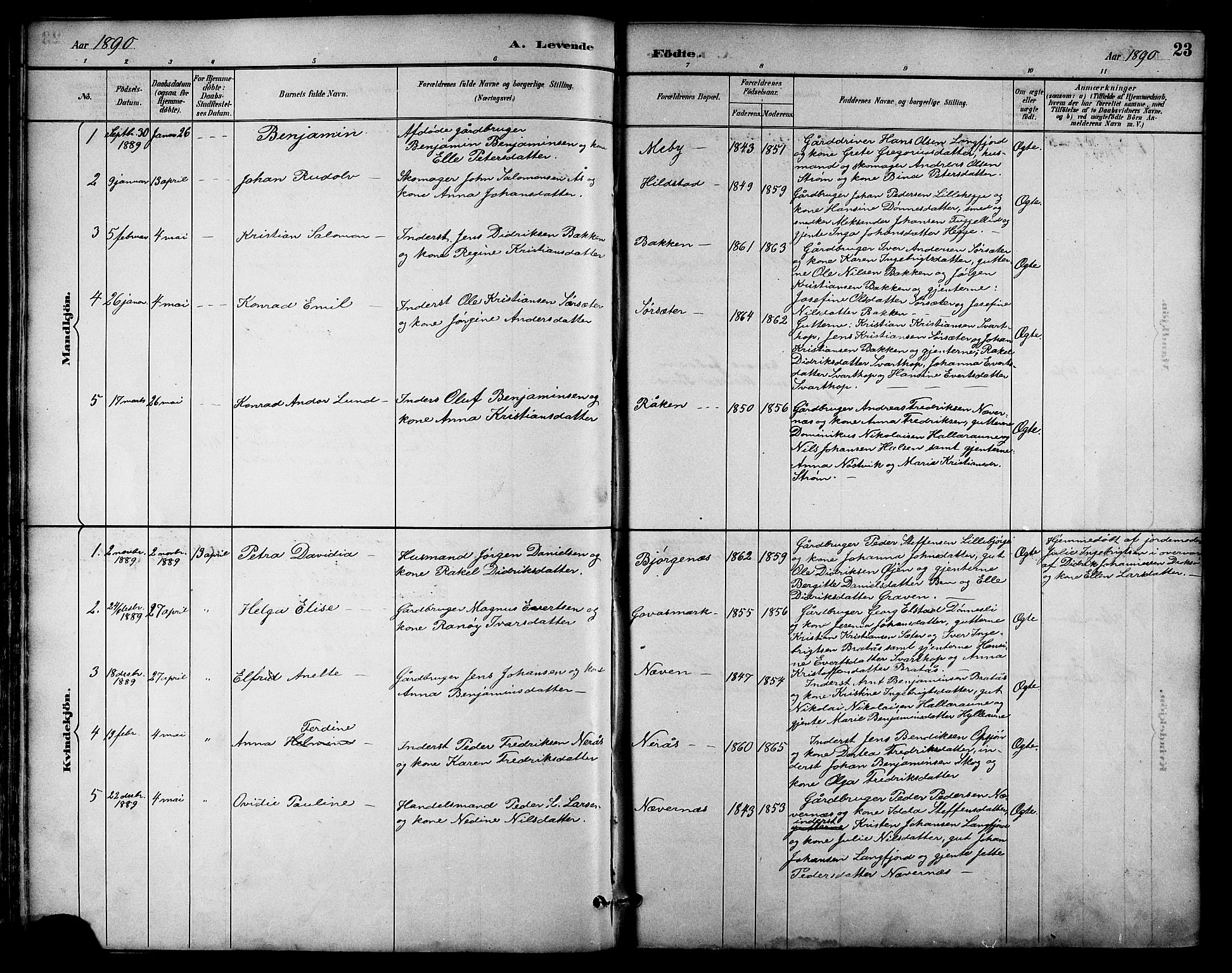 Ministerialprotokoller, klokkerbøker og fødselsregistre - Nordland, AV/SAT-A-1459/814/L0230: Parish register (copy) no. 814C03, 1884-1911, p. 23