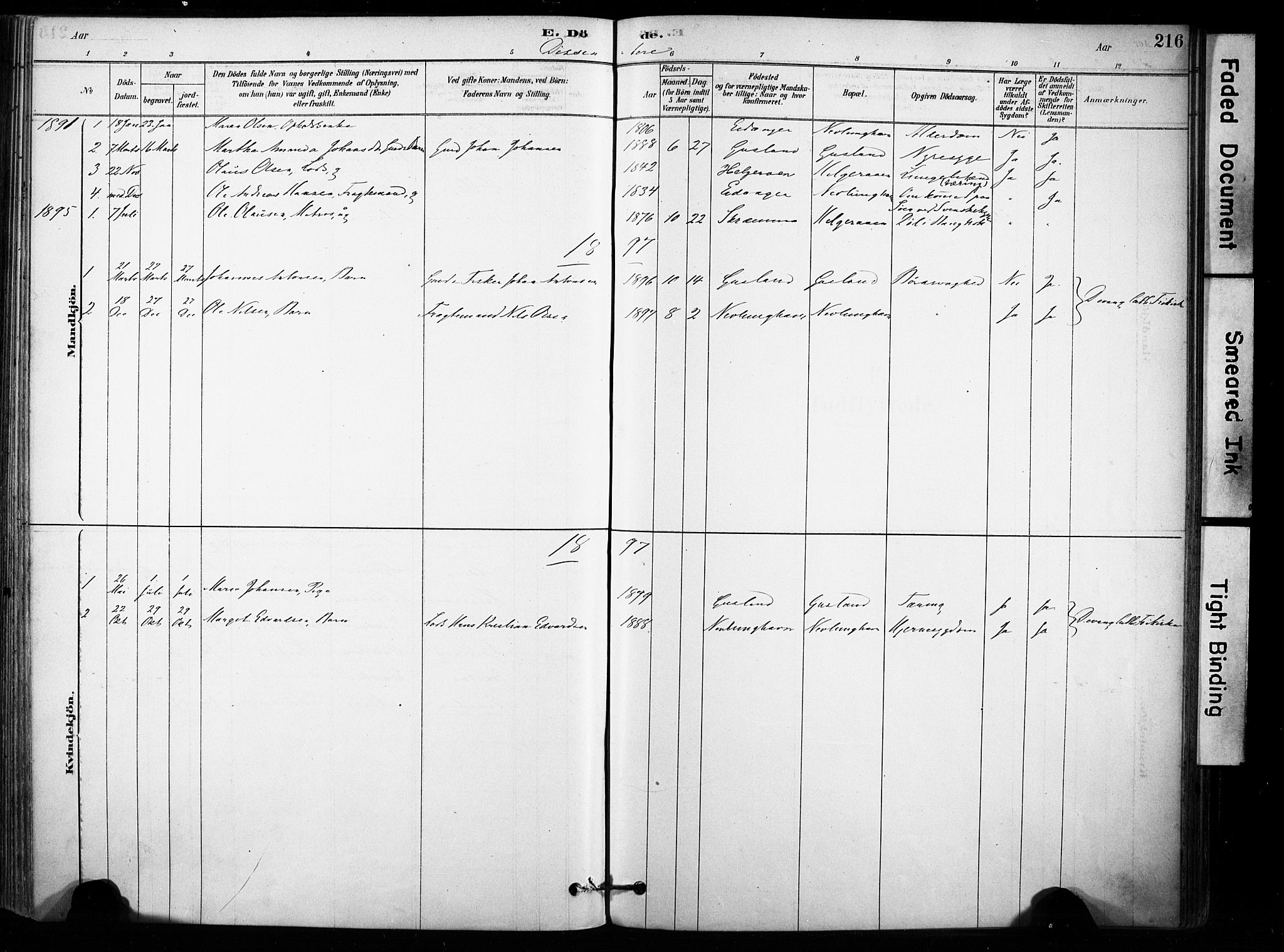 Brunlanes kirkebøker, AV/SAKO-A-342/F/Fb/L0001: Parish register (official) no. II 1, 1878-1899, p. 216