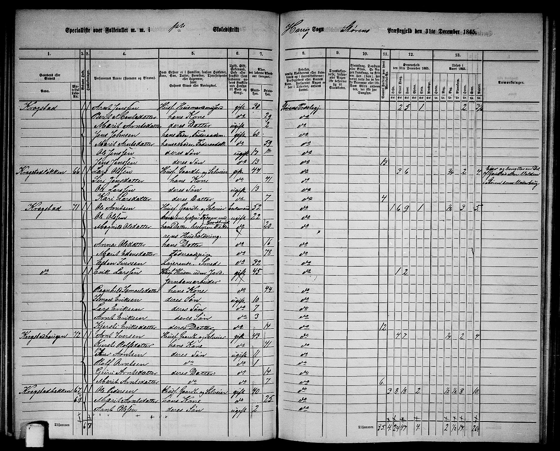 RA, 1865 census for Støren, 1865, p. 126