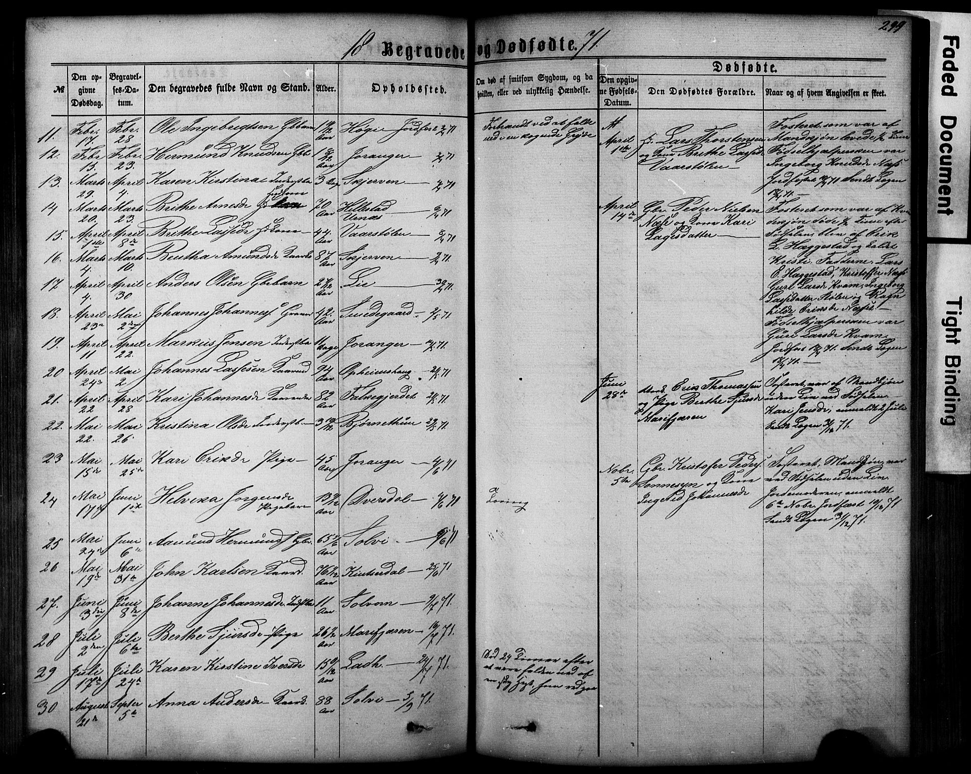 Hafslo sokneprestembete, SAB/A-80301/H/Hab/Haba/L0001: Parish register (copy) no. A 1, 1866-1908, p. 299